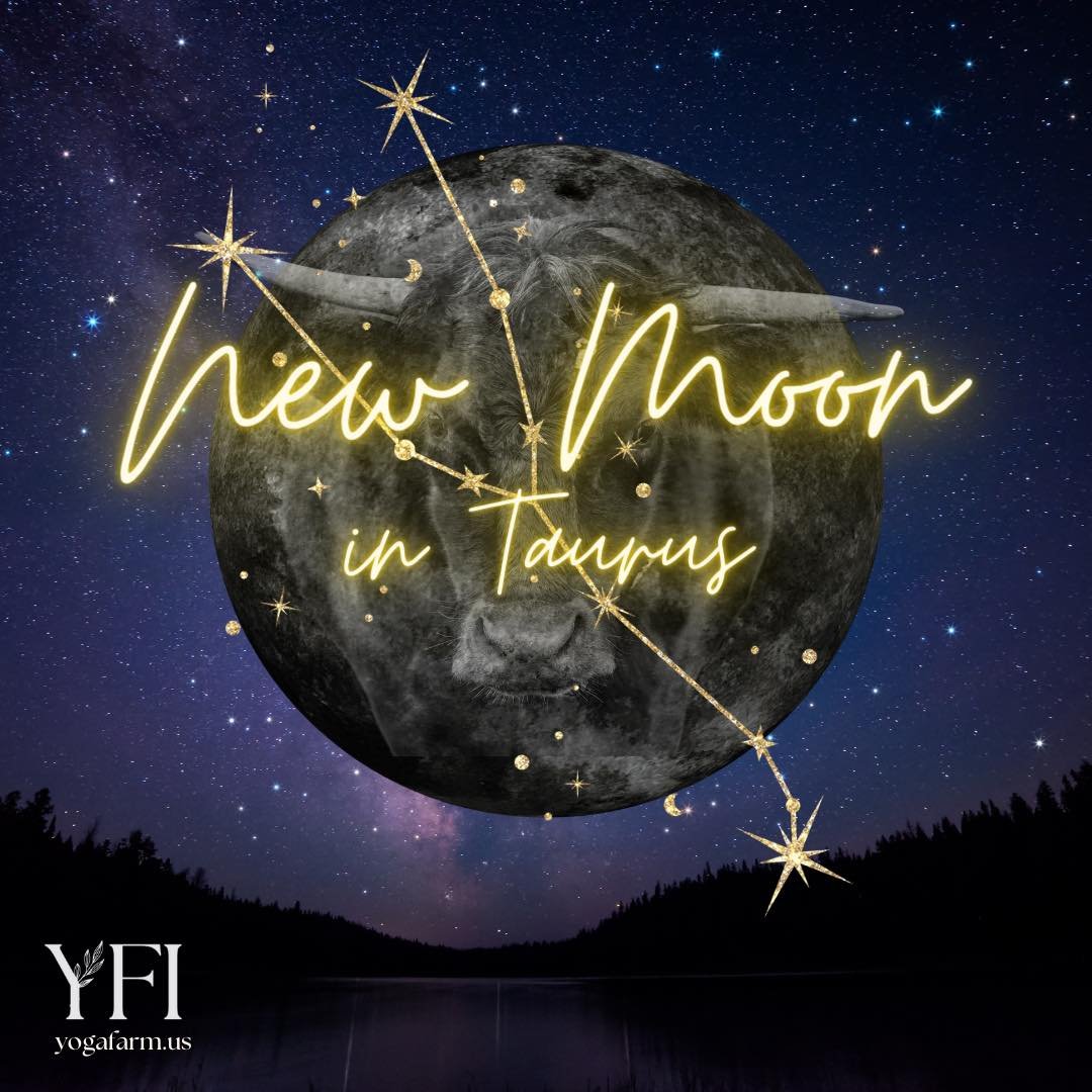 The New Moon 🌑 is in Taurus. ✨ 
This new moon is bit of a rarity due to its alignment with both Venus and Jupiter. 
✨Jupiters energy is expansive and optimistic. It is the planet of wisdom, abundance, good fortune. 
✨Venus is known as the plant of l