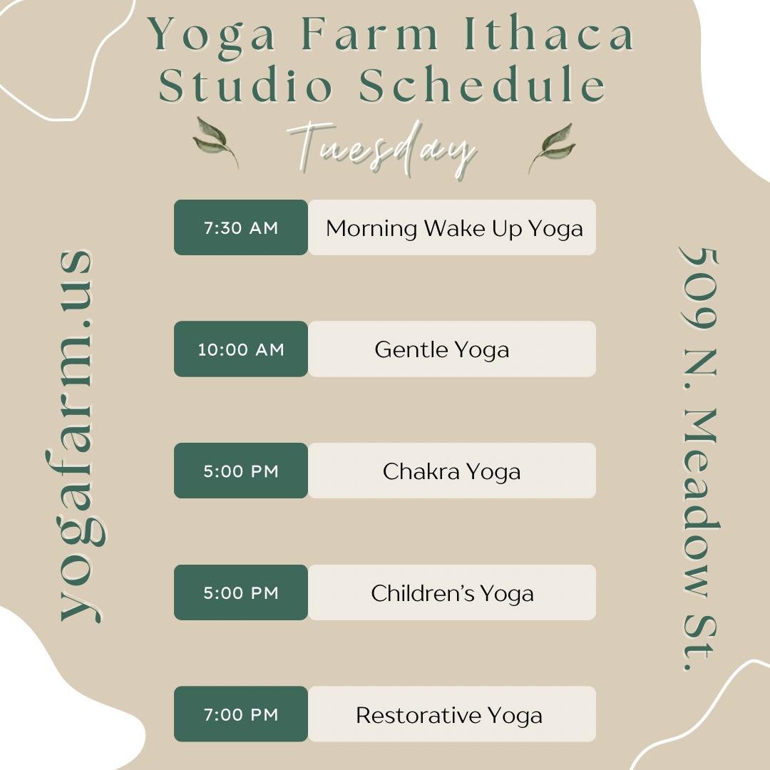 Tuesday at Yoga Farm Ithaca ✨ Stop in today! 
Visit our site or book directly on the MindBody App!
🌈 Our website,
https://www.yogafarm.us/ithaca-studio-classes