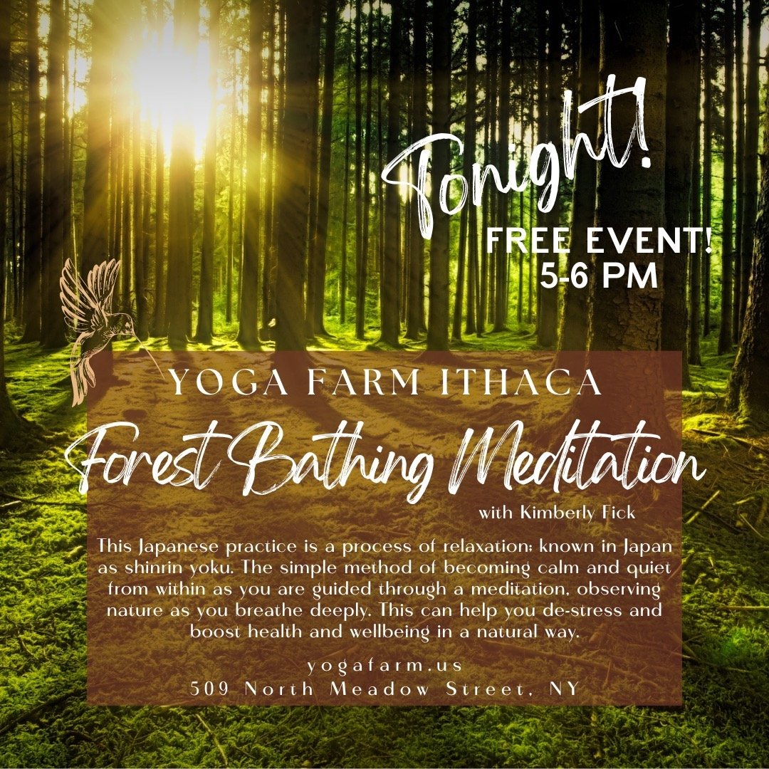 Hey Locals! 🌟 Join Kimberly tonight at the studio for this Free Event!
Time: 5-6 PM 
Studio Space: 509 North Meadow Street, Ithaca
Register for free here, 
https://get.mndbdy.ly/LUmrNUNwCJb
#forest #meditation #forestbathing #connection #community