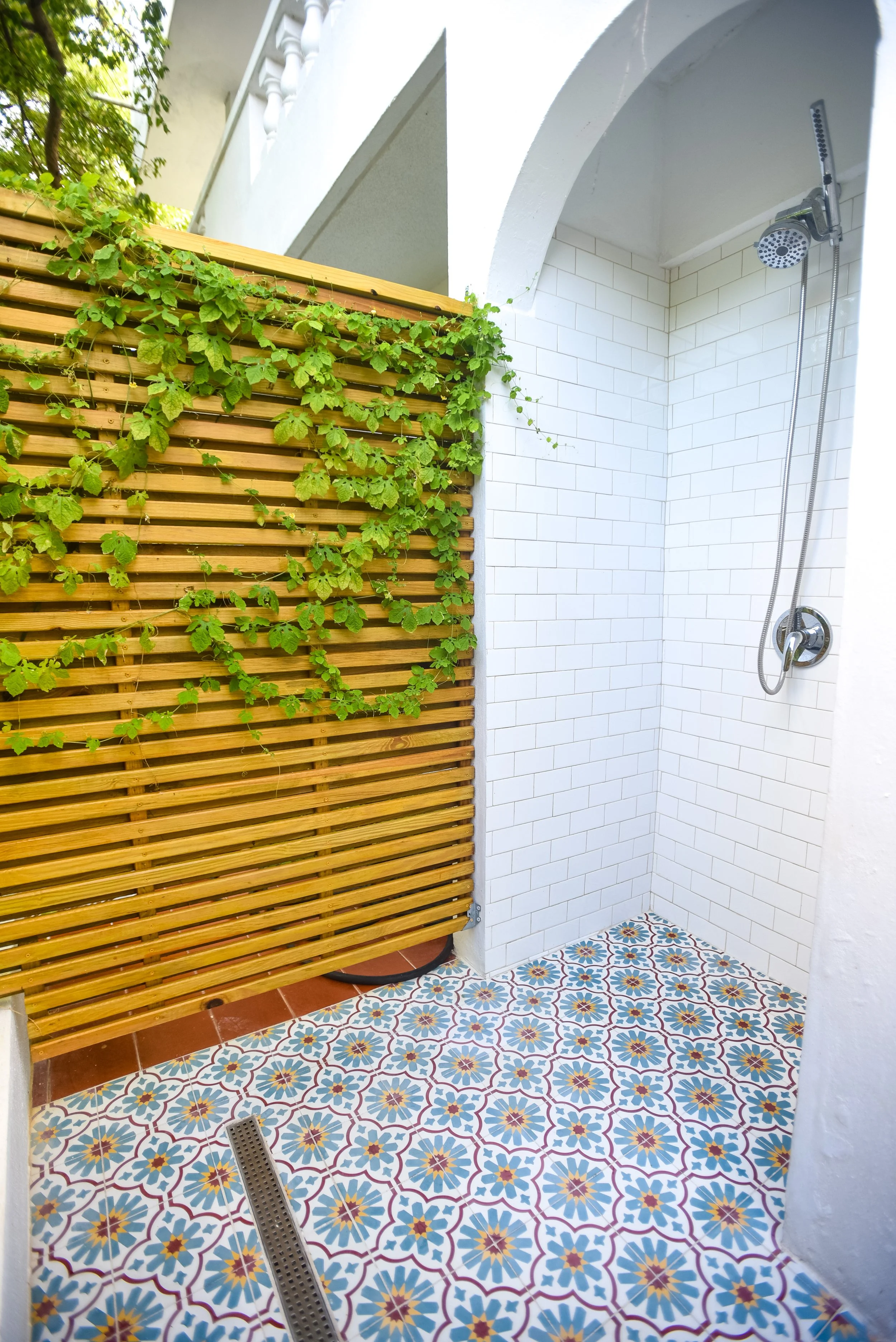 butterfly shower 03.jpg