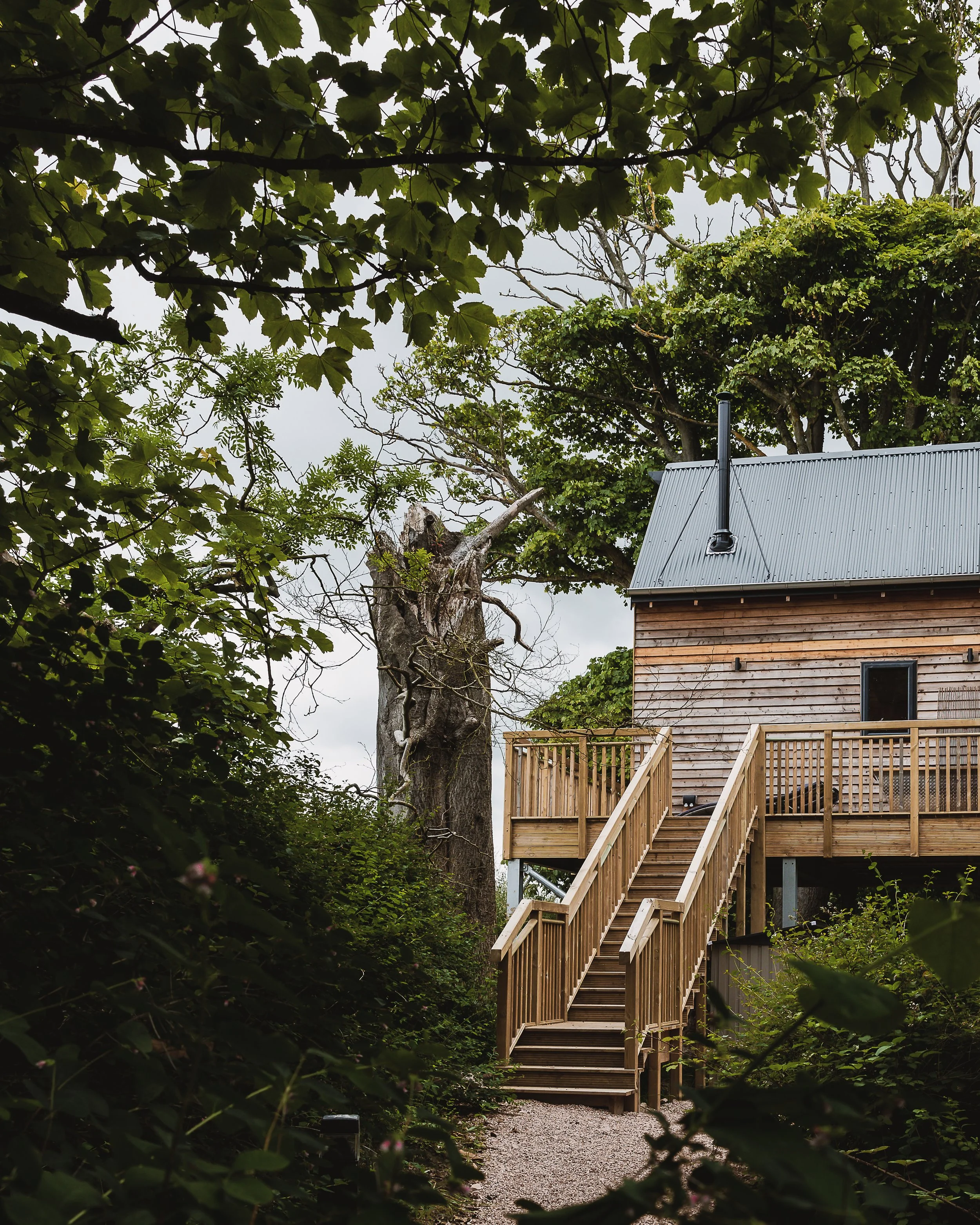 Madeira_in_Fife_Tree House_ 10.jpg