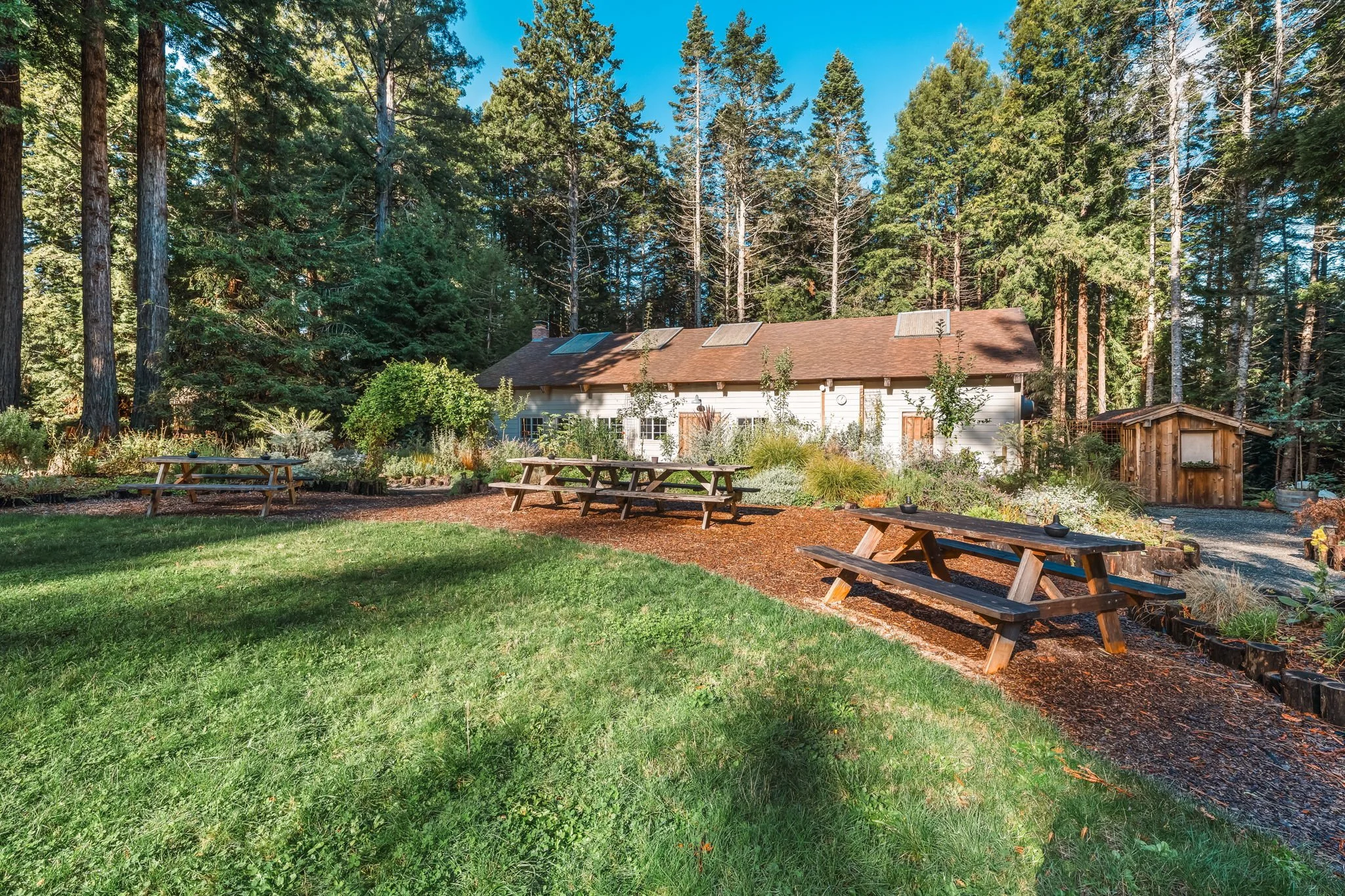 Upcoming Retreats — Yoga Farm Ithaca