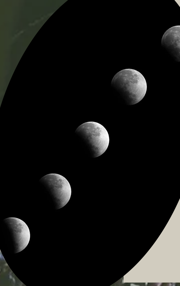 Screenshot 2026-04-24 at 12.58.28 PM.png