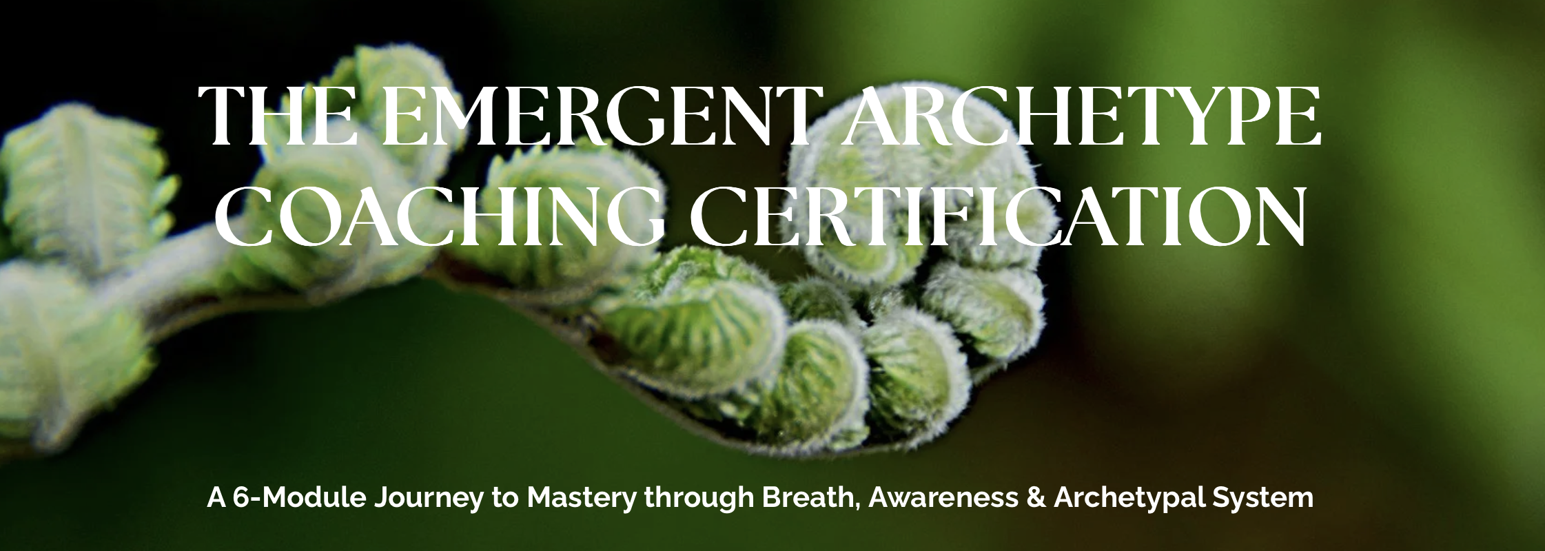 Screenshot 2026-01-09 at 3.45.28 PM.png