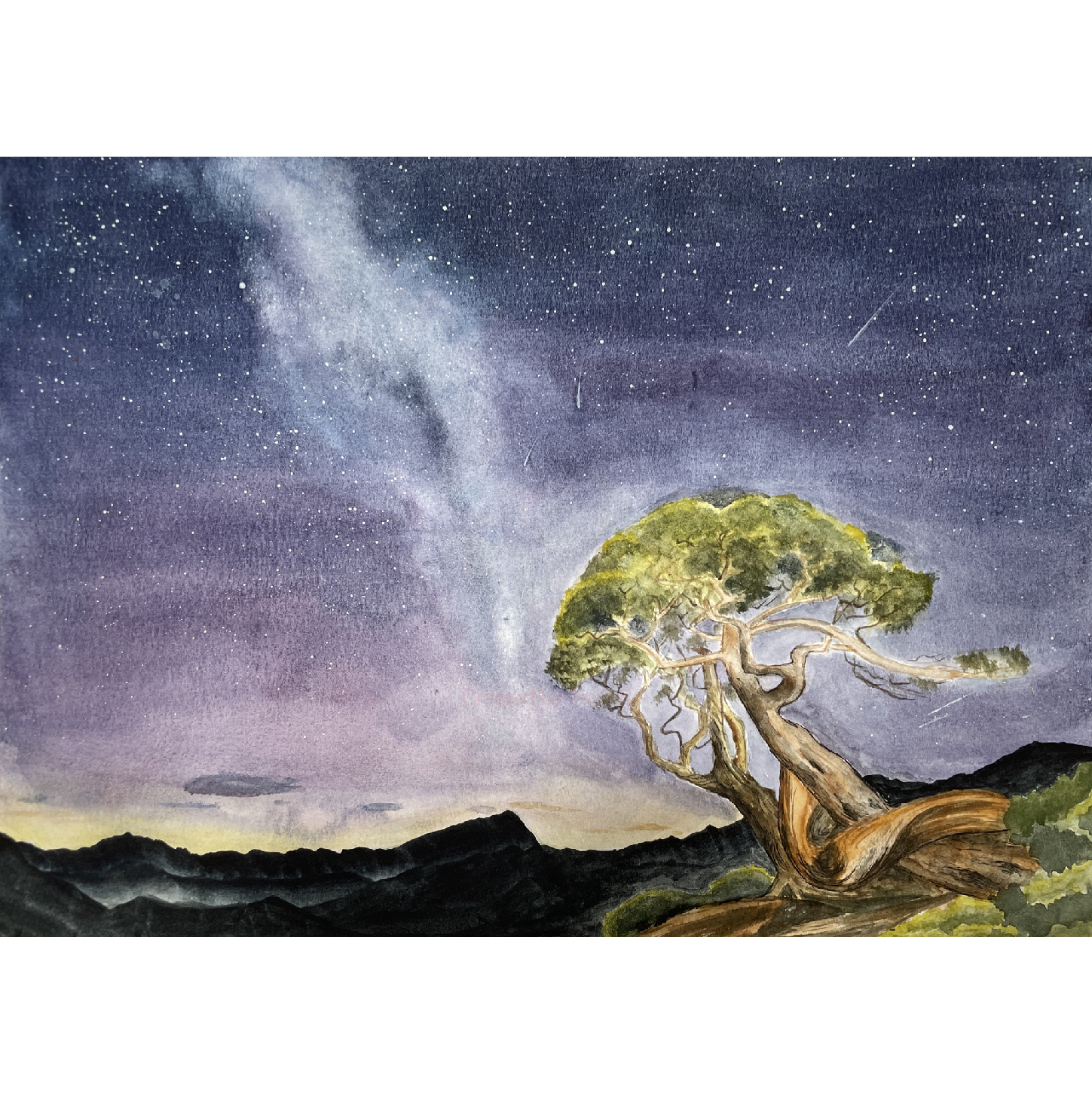 Yushan tree.png