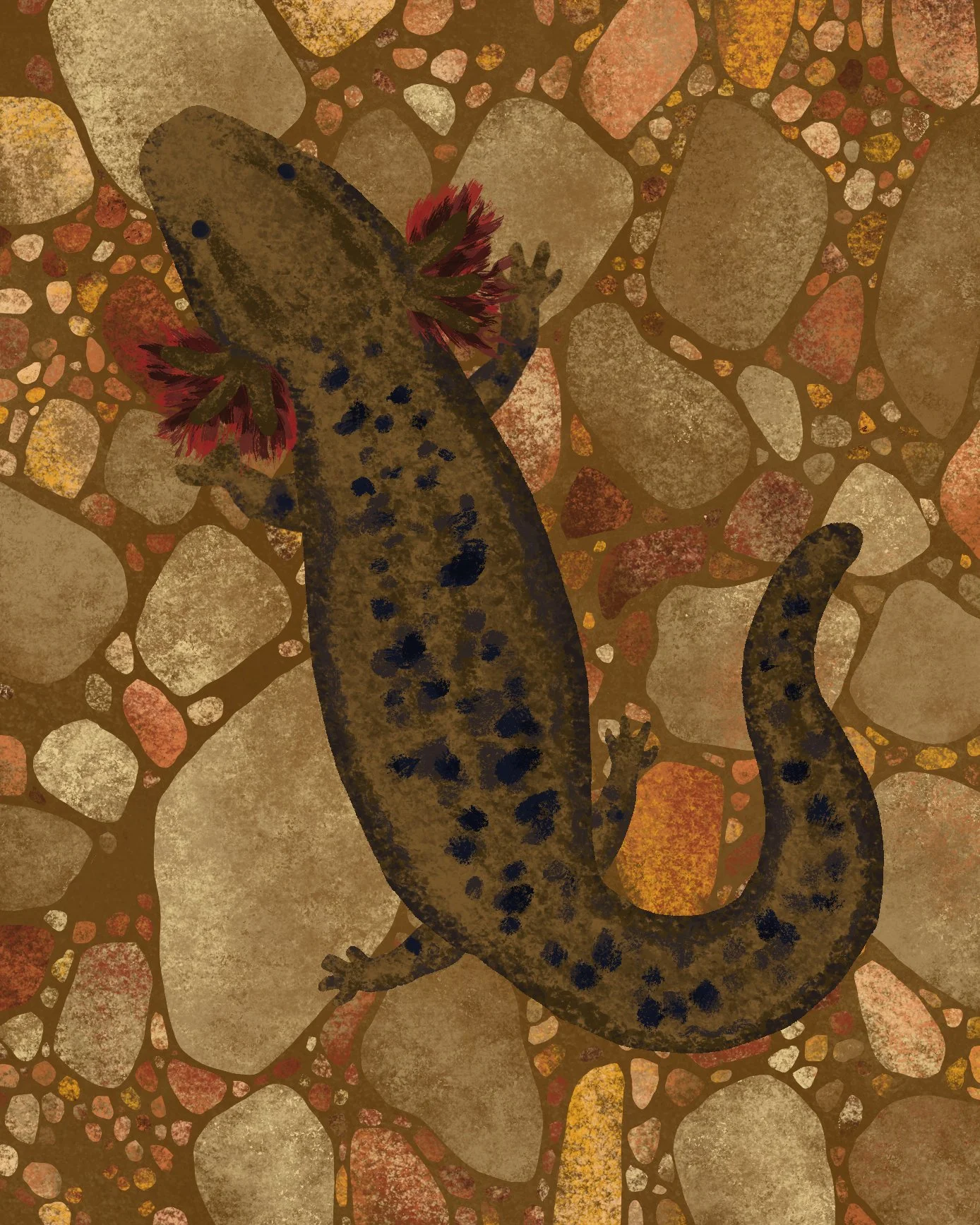 Mudpuppy .jpg