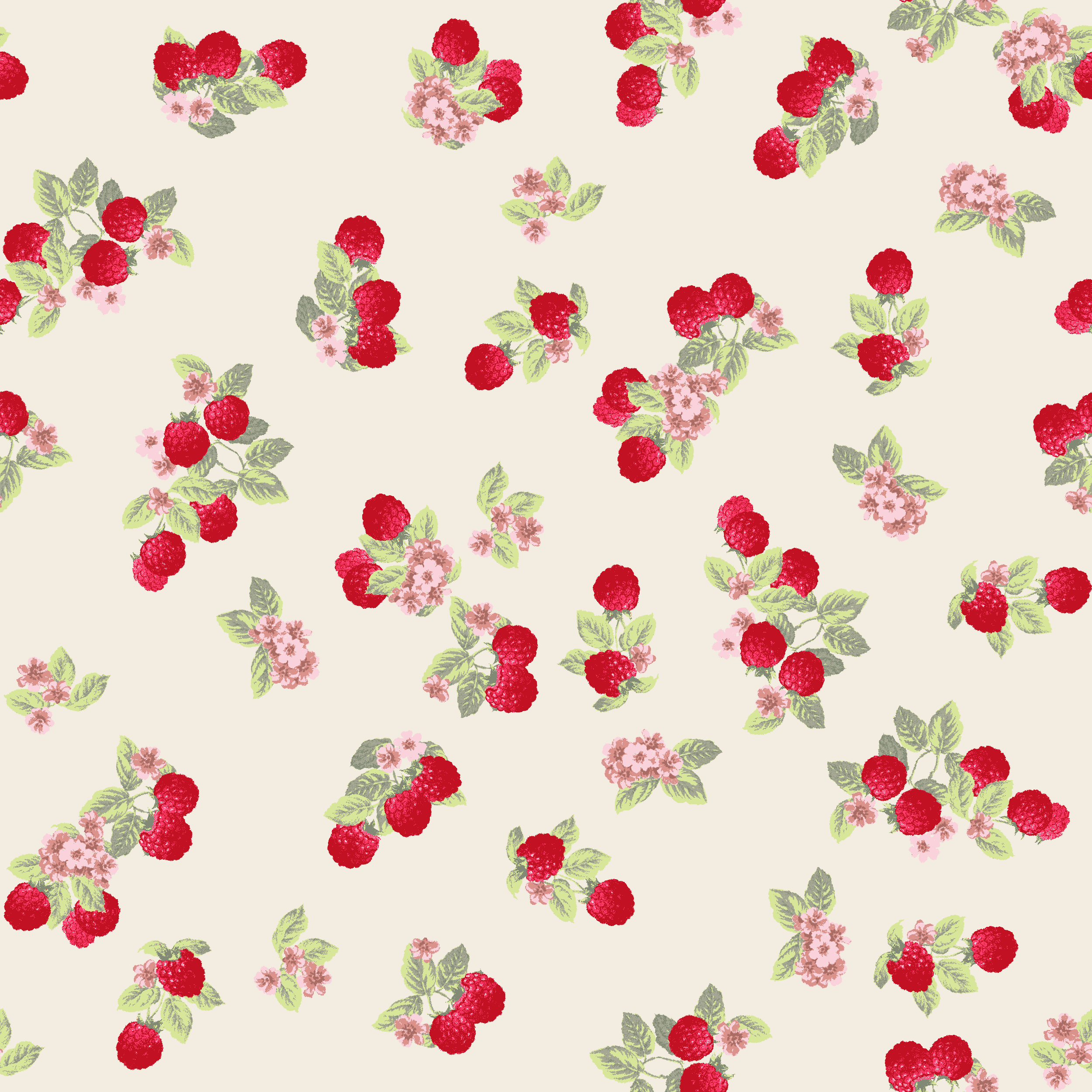 P25SOJ367B-RASPBERRY PATCH.png
