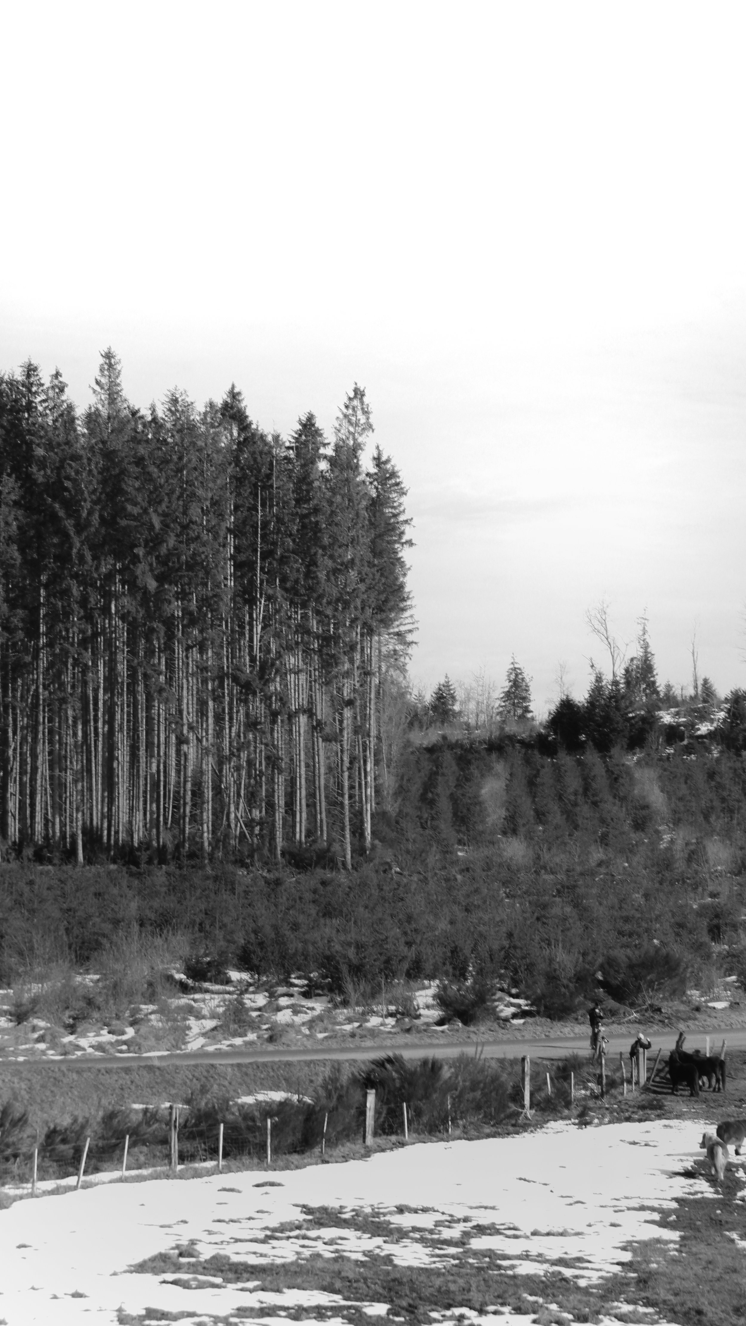 Paysage Industriel