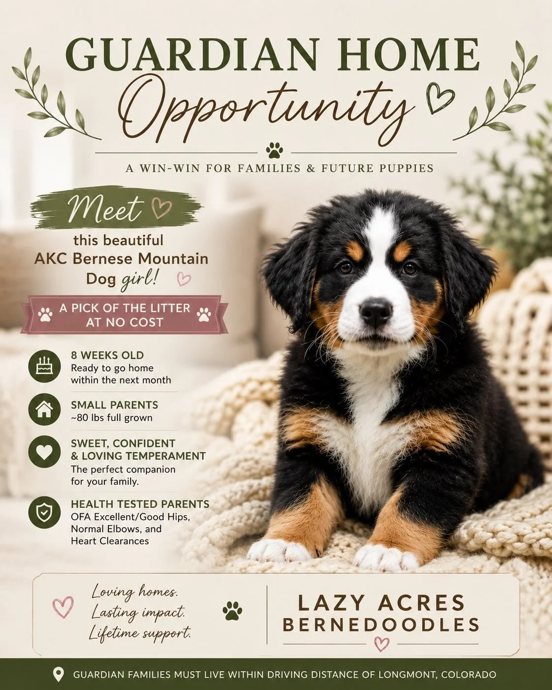 ✨ Looking for her forever home! ✨

We&rsquo;re looking for the perfect guardian home for this sweet female AKC Bernese Mountain Dog puppy.

She&rsquo;s confident, affectionate, adventure-ready, and expected to stay on the smaller side for a Bernese (
