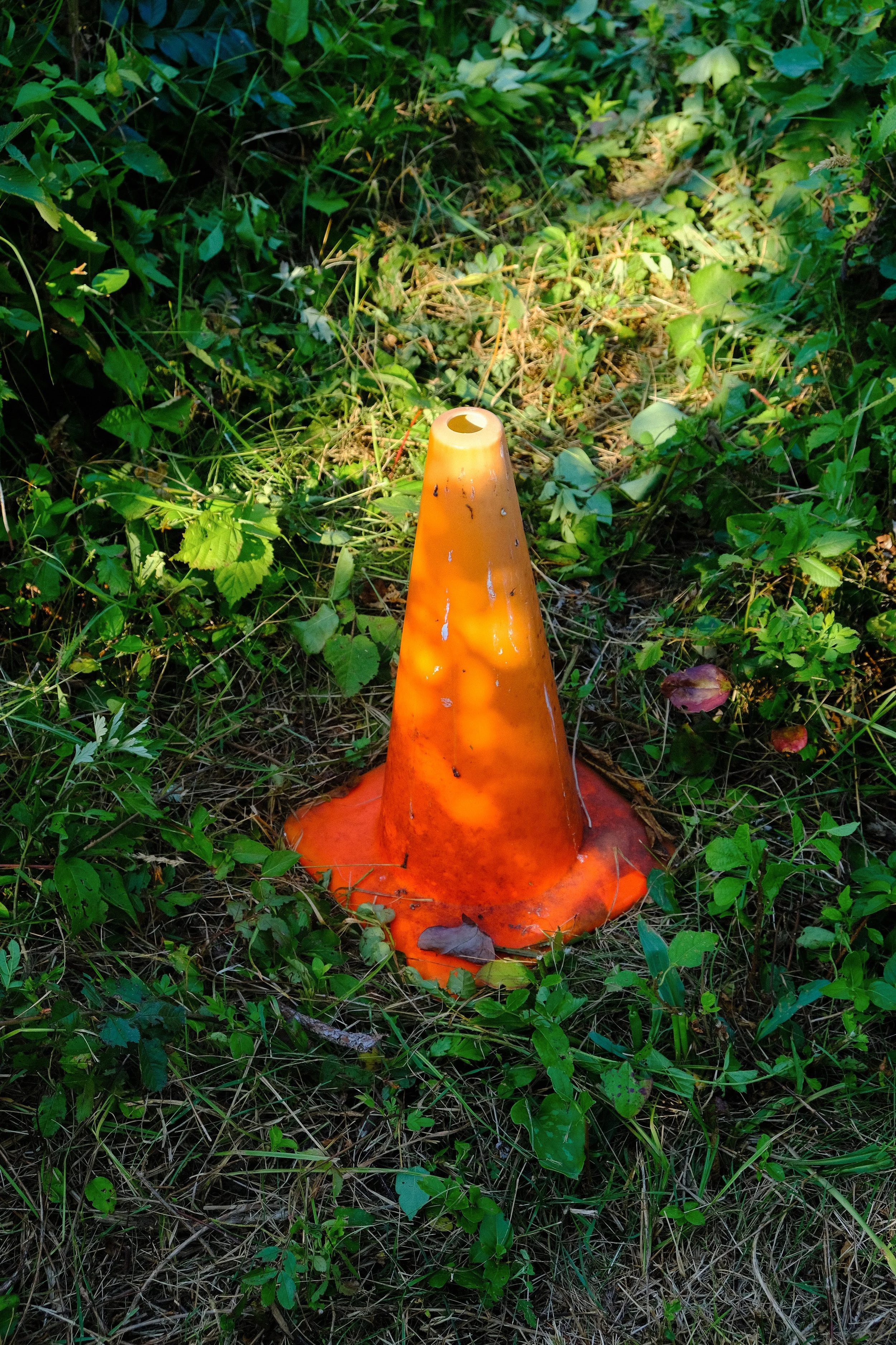 DSCF9438.jpg