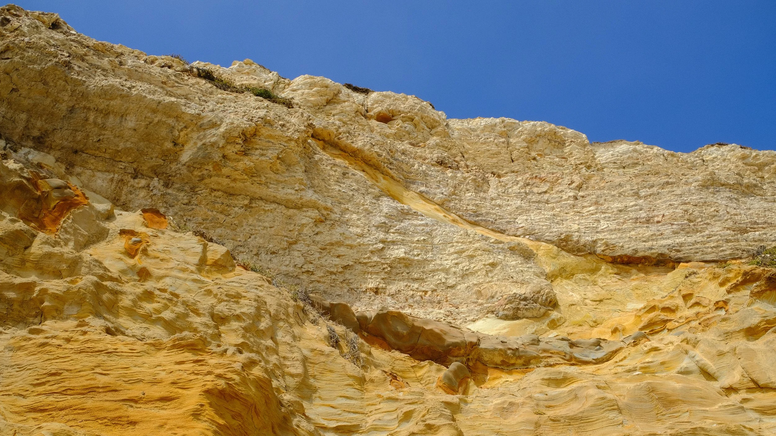 DSCF8979.jpg