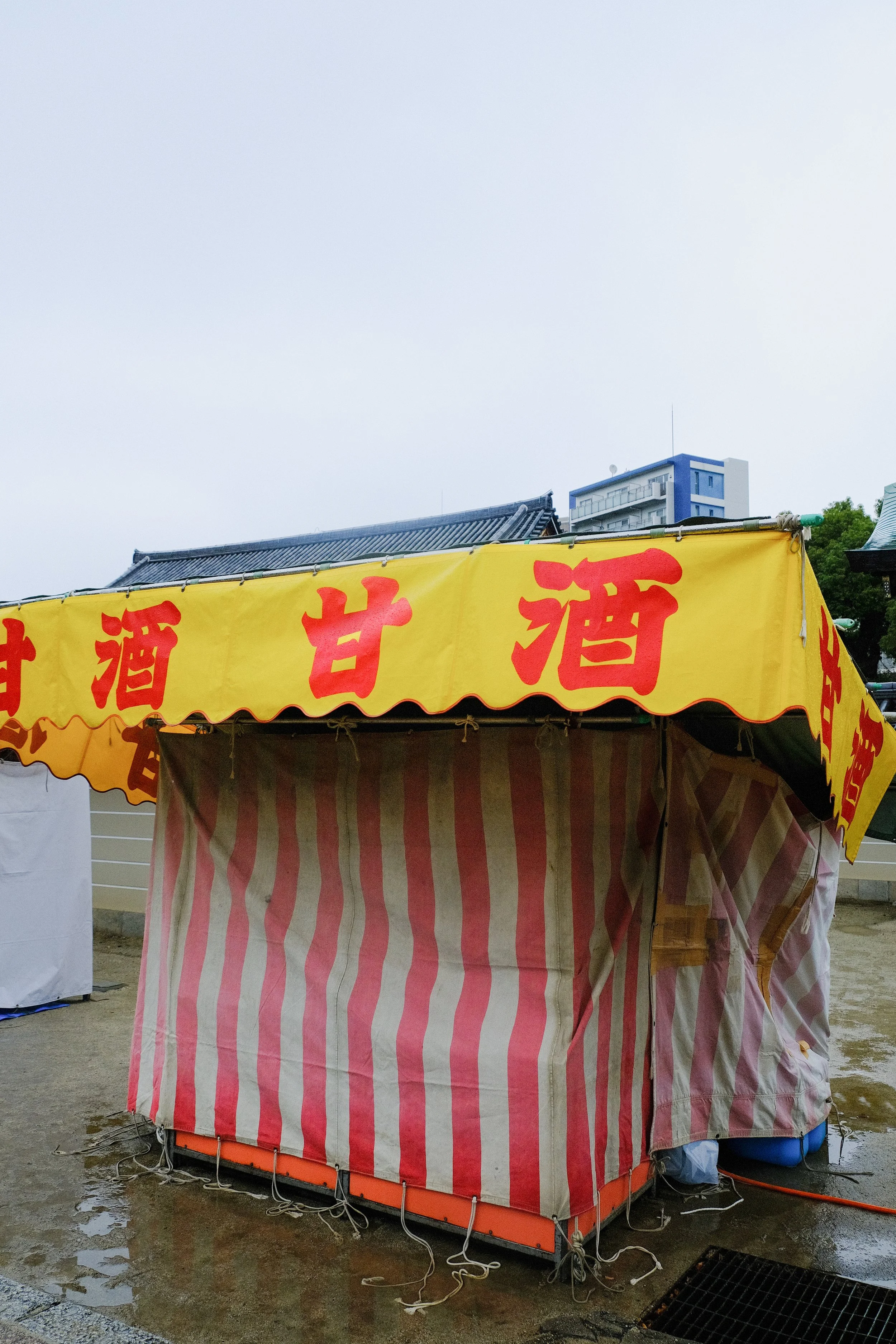 DSCF7529-2.jpg