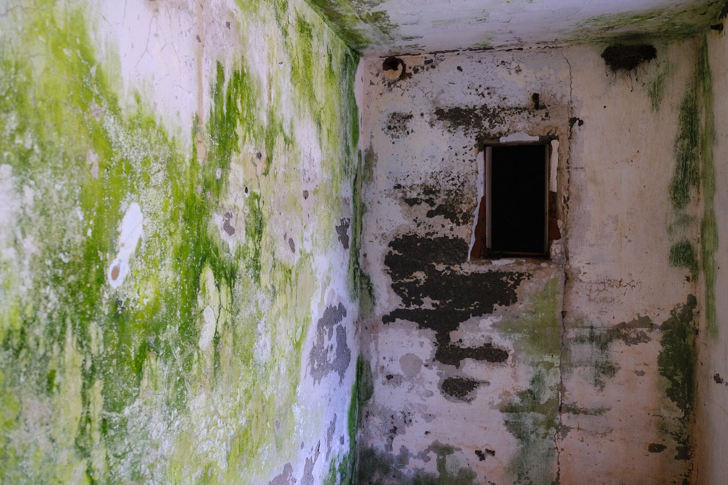 DSCF9414.jpg