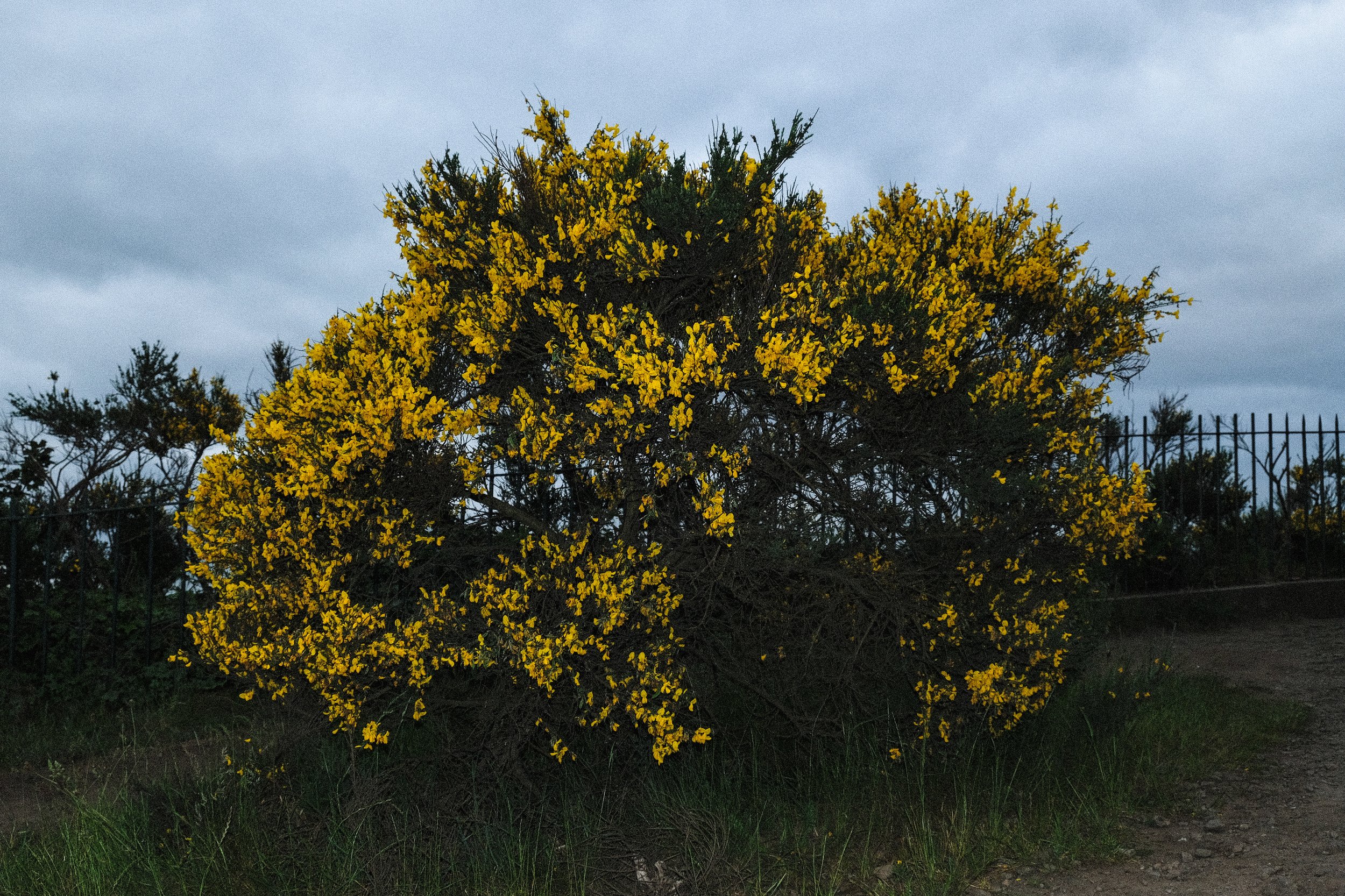 DSCF2167.jpg