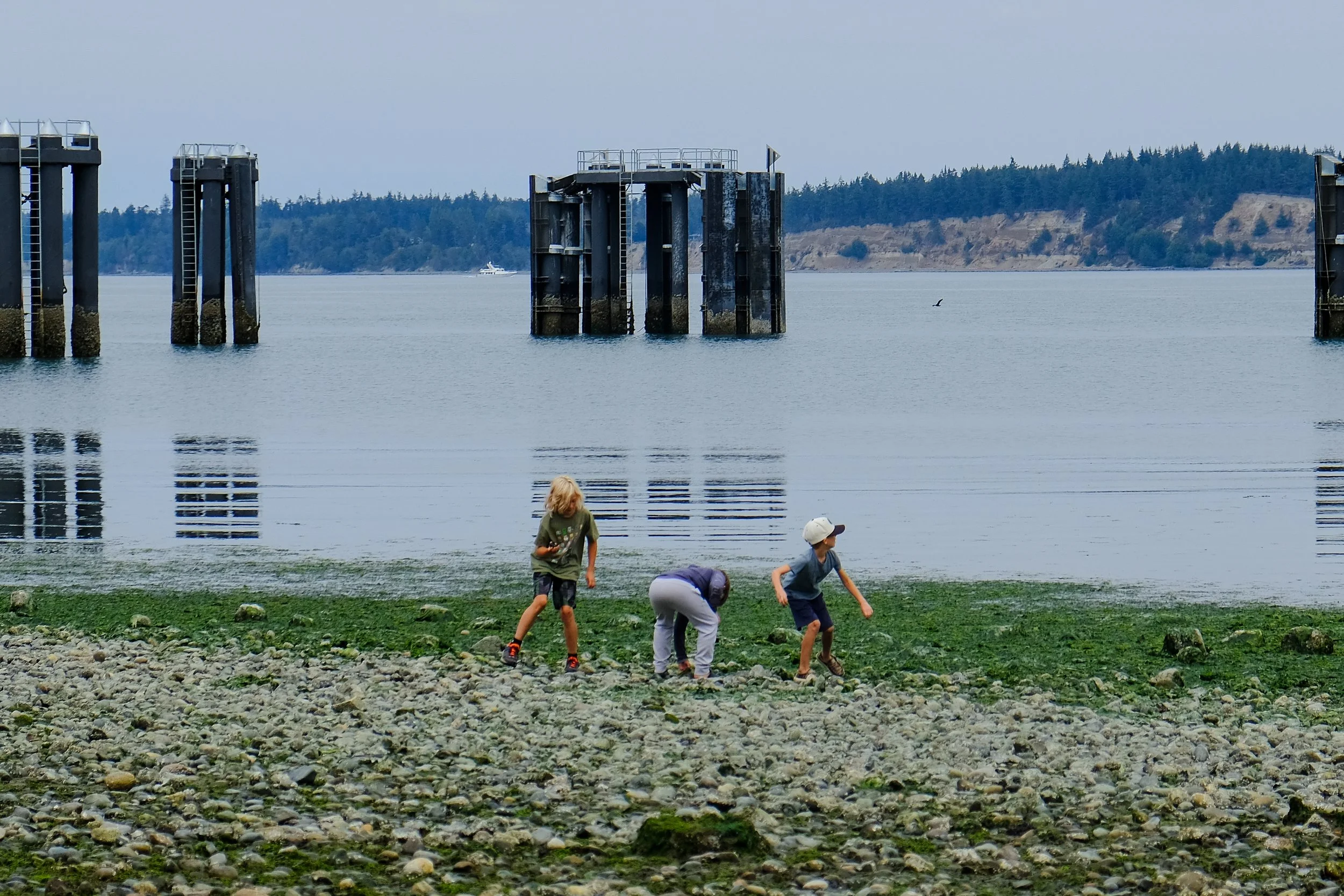 DSCF5313.jpg