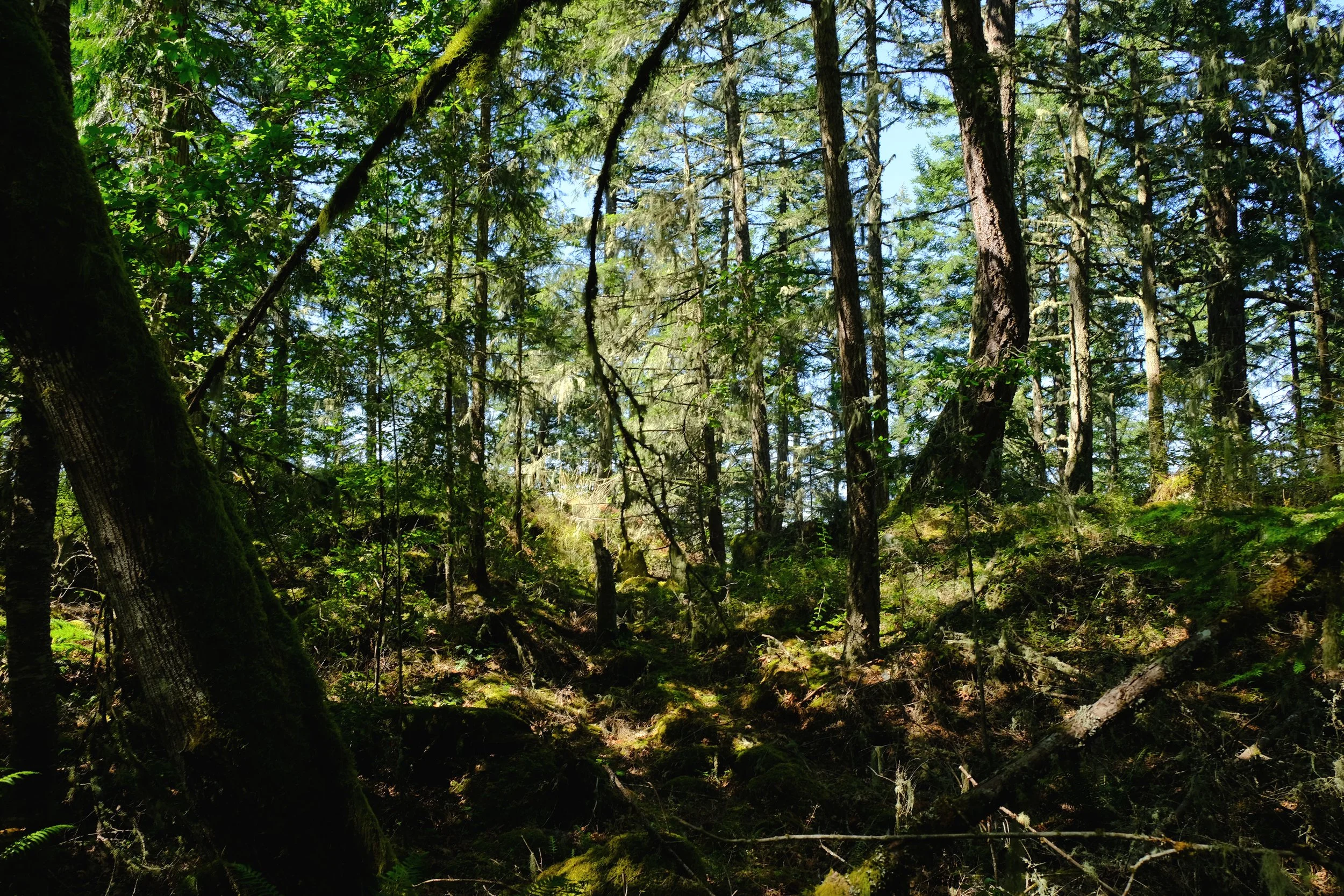 DSCF5467-2.jpg