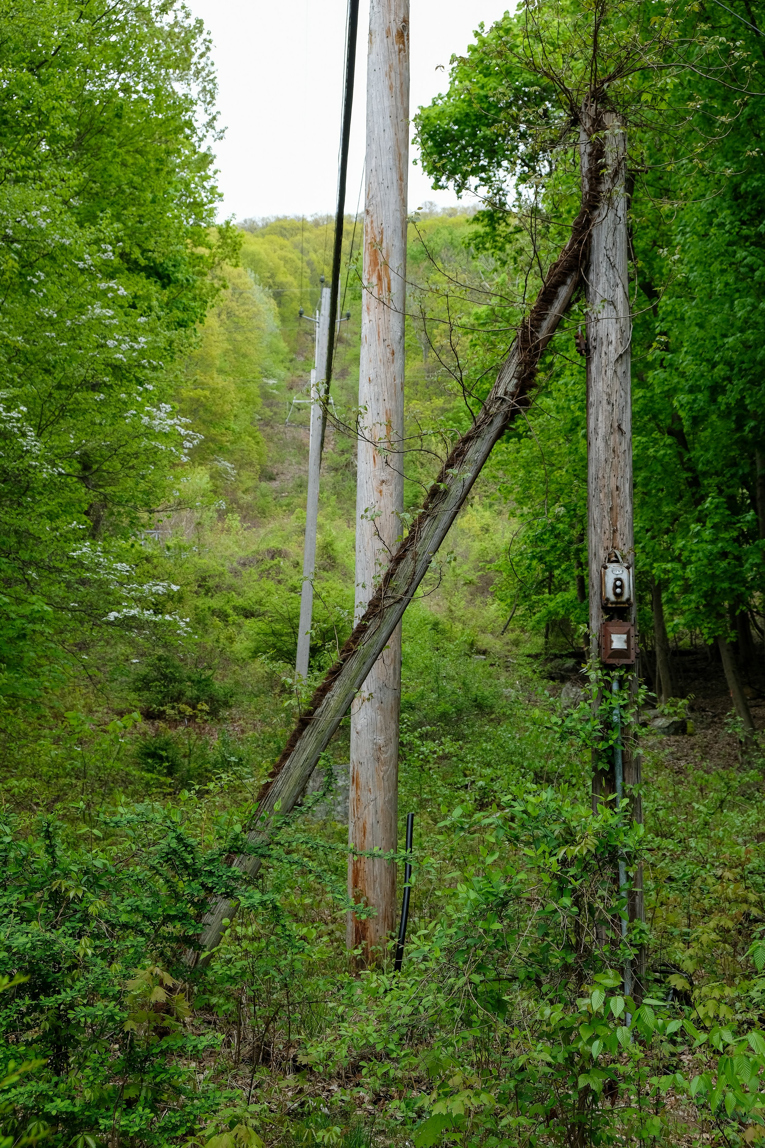 DSCF0021-2.jpg
