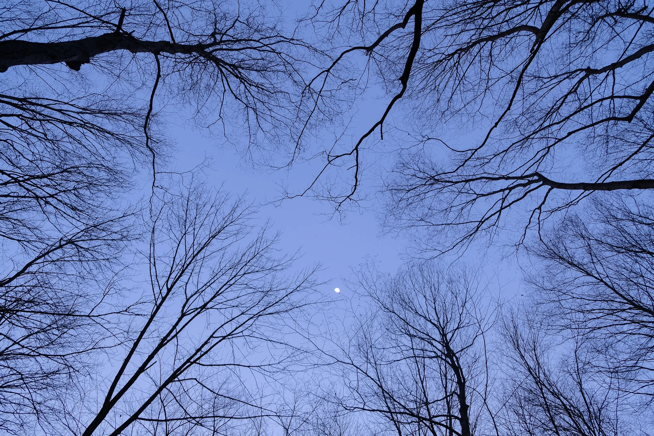 DSCF3792.jpg