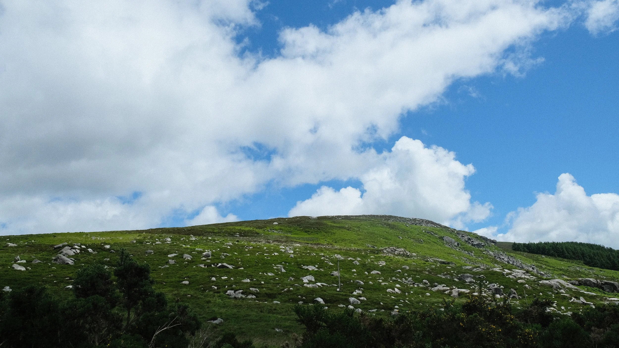 DSCF2202.jpg