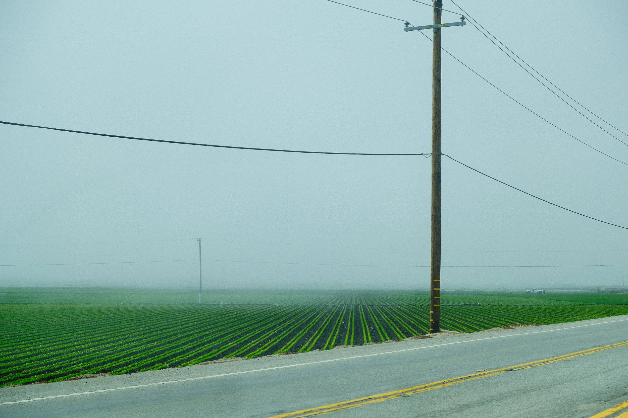 DSCF8910-4.jpg