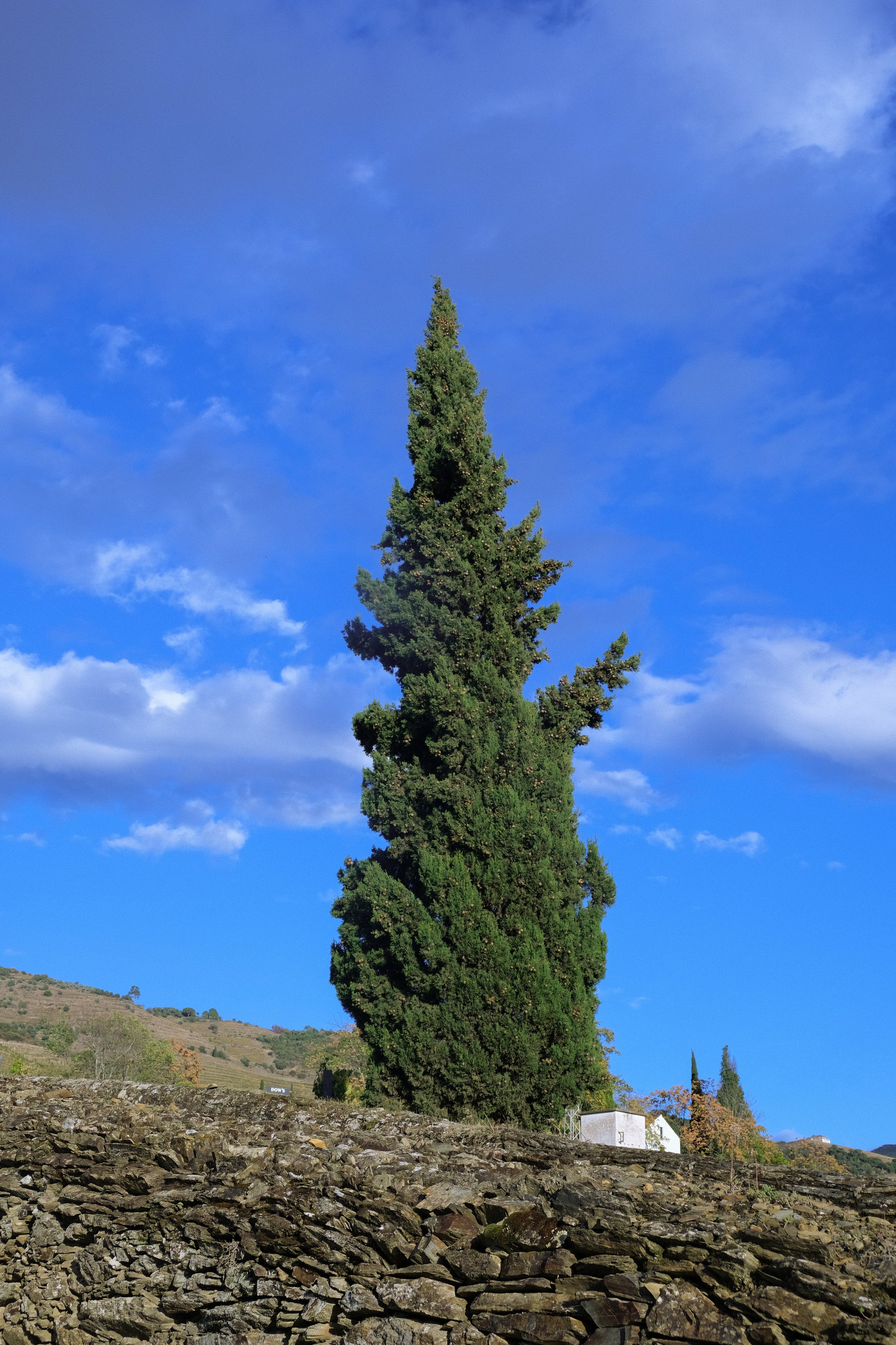 DSCF0360.jpg