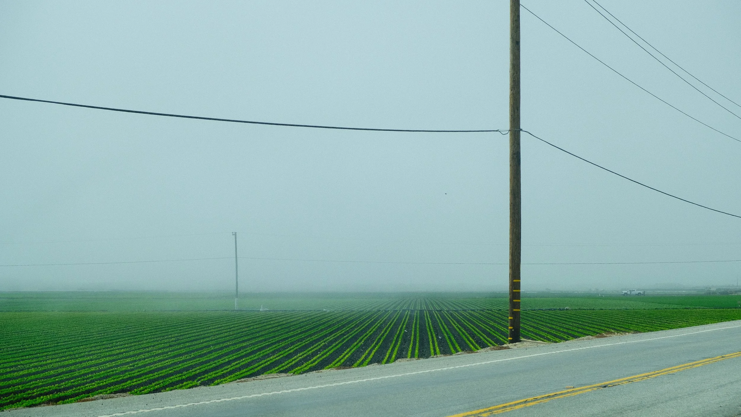 DSCF8910-3.jpg