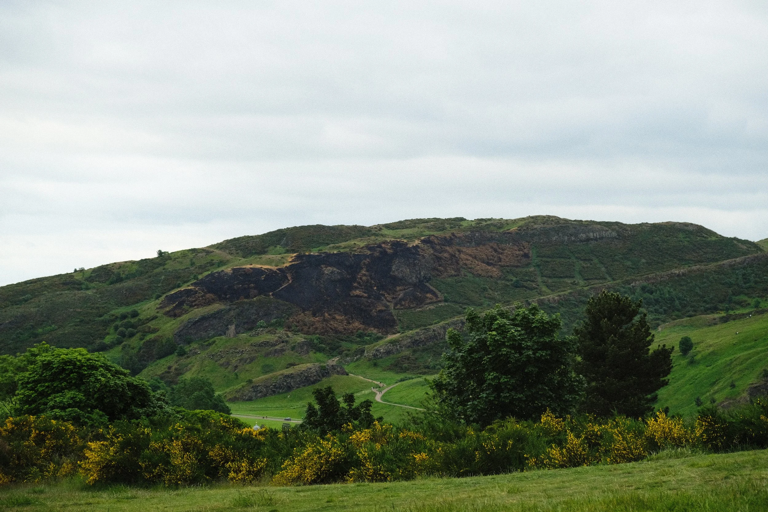 DSCF2158-3.jpg