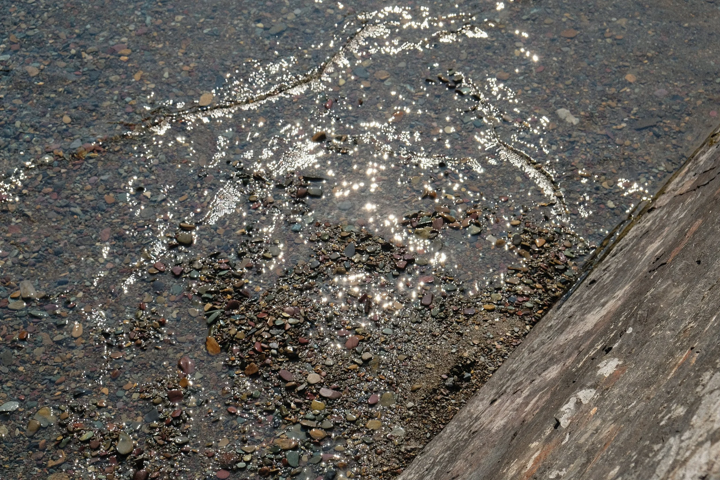 DSCF2829.jpg