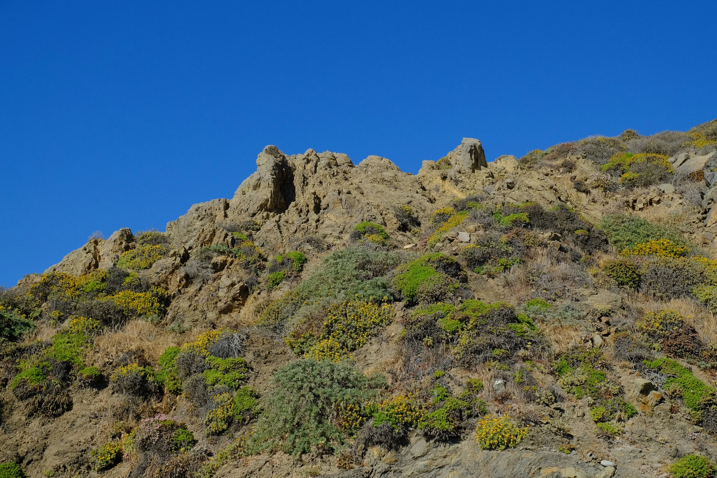 Landscapes