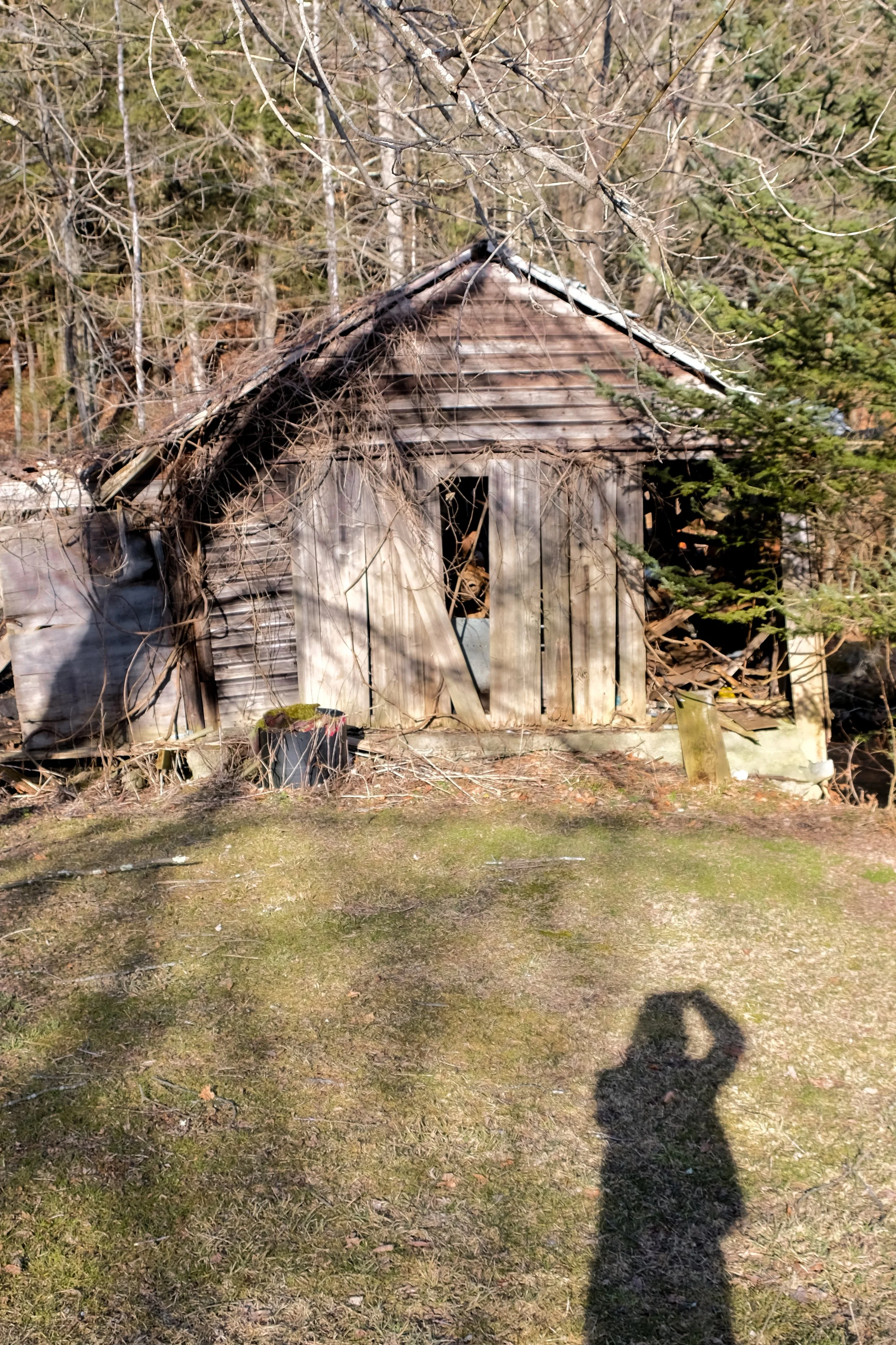 DSCF3998-2.jpg