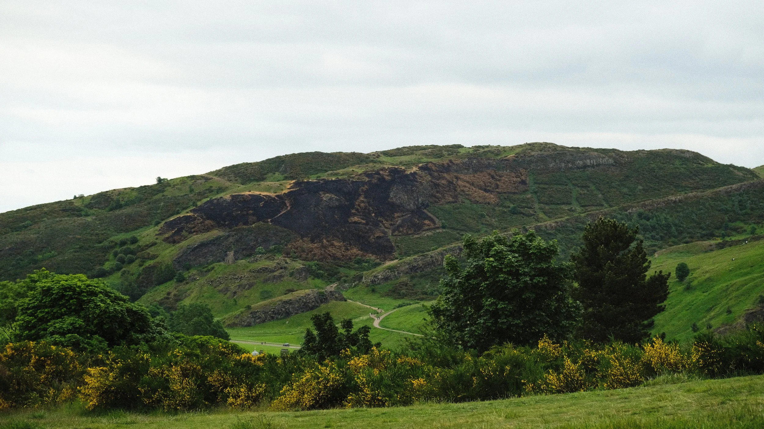 DSCF2158-2.jpg