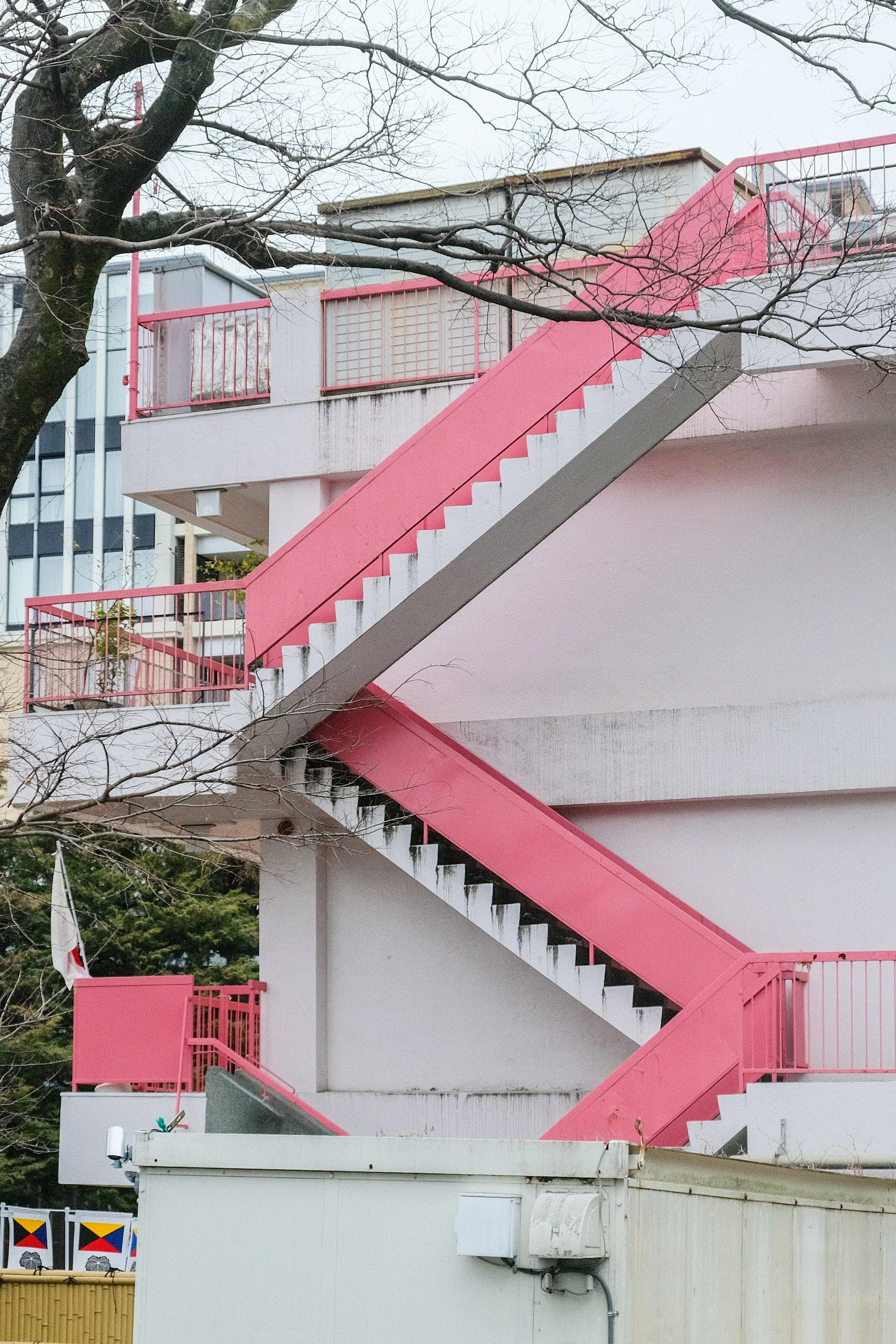 DSCF6816.jpg