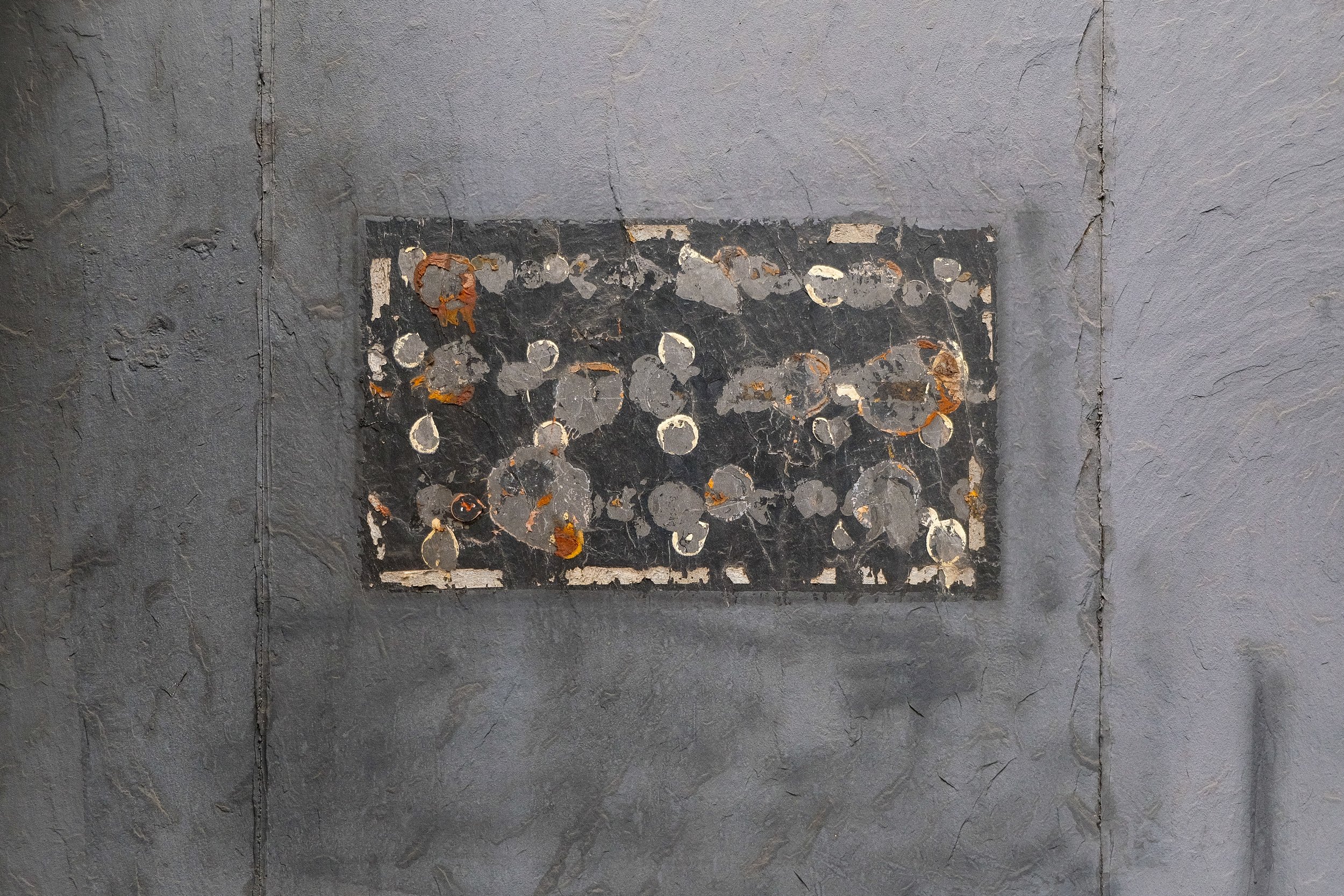 DSCF6338.jpg