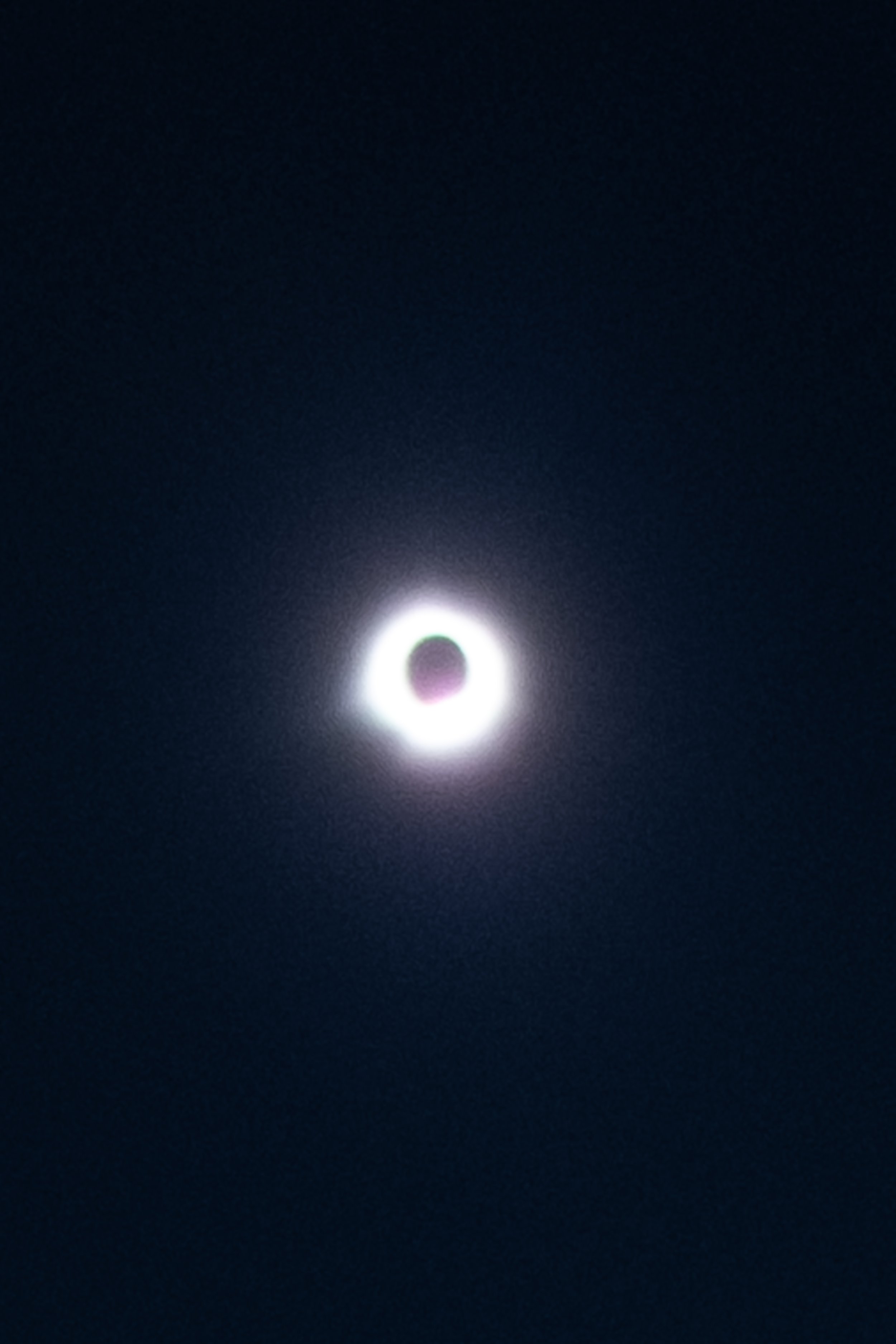 DSCF4342-4.jpg