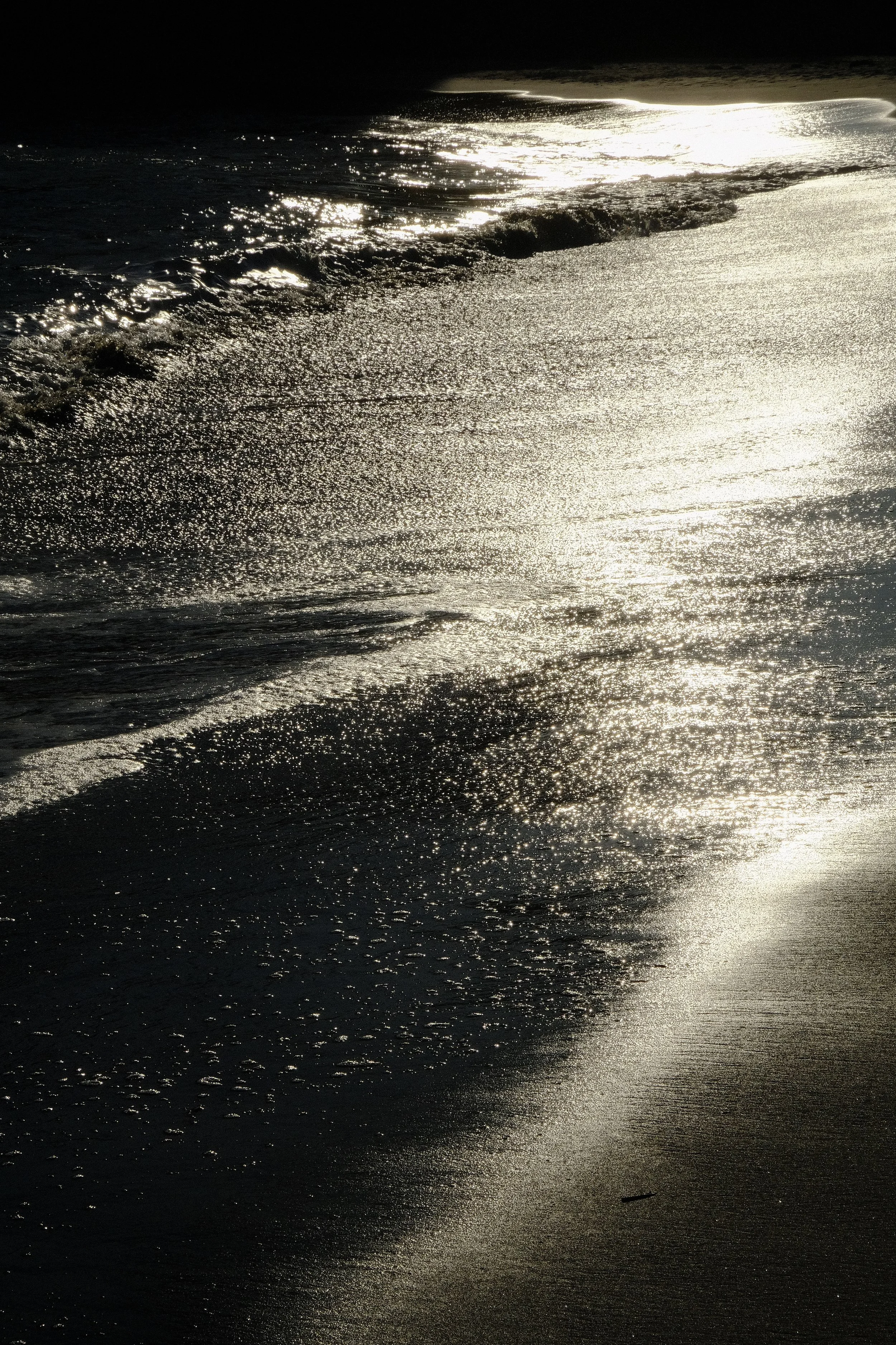 DSCF8831.jpg