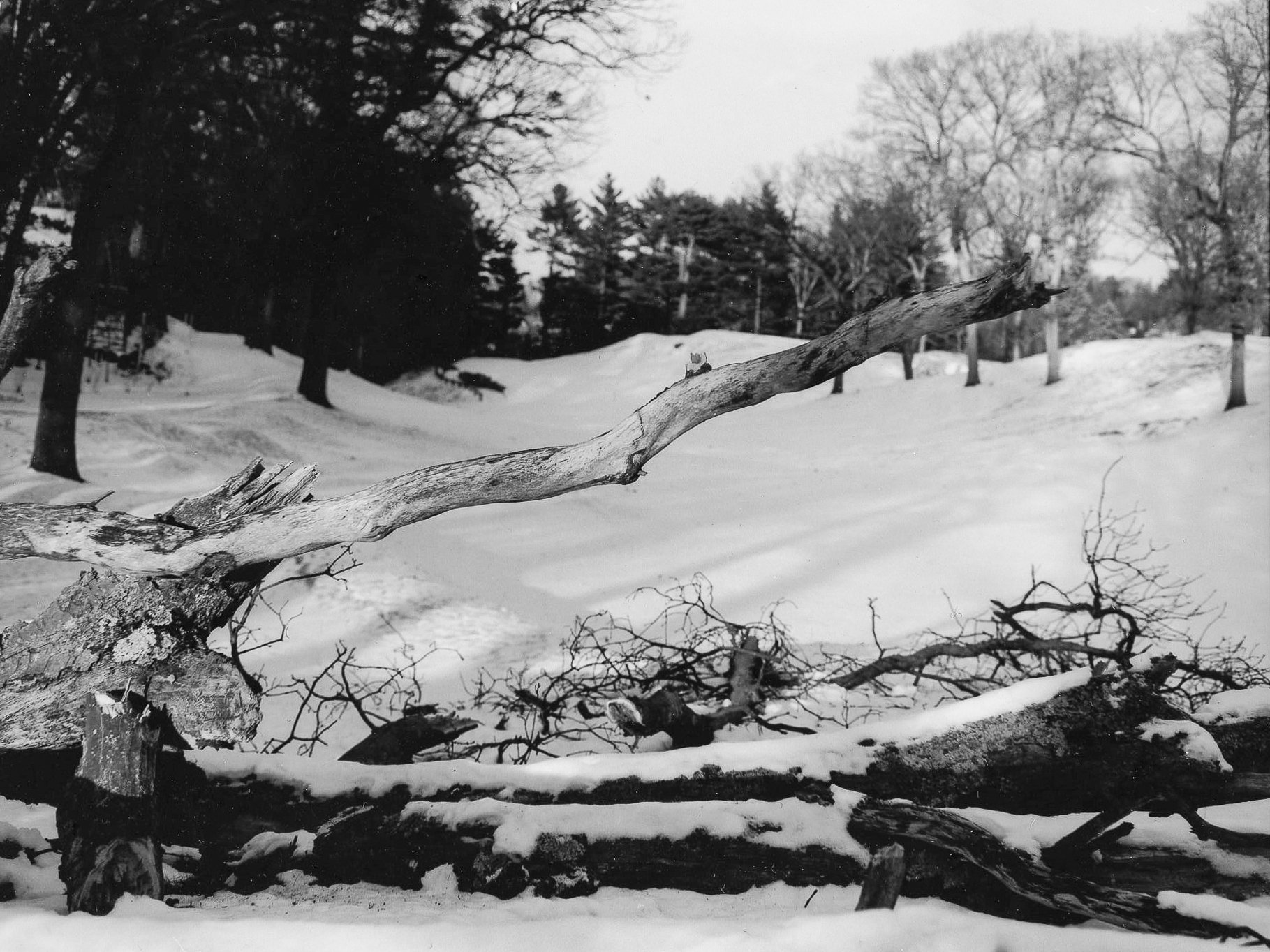 Molly Walsh602 2.jpg