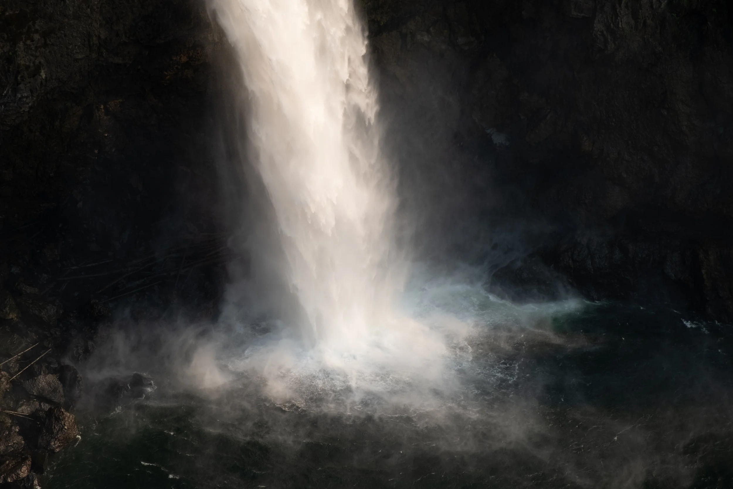 DSCF5556.jpg