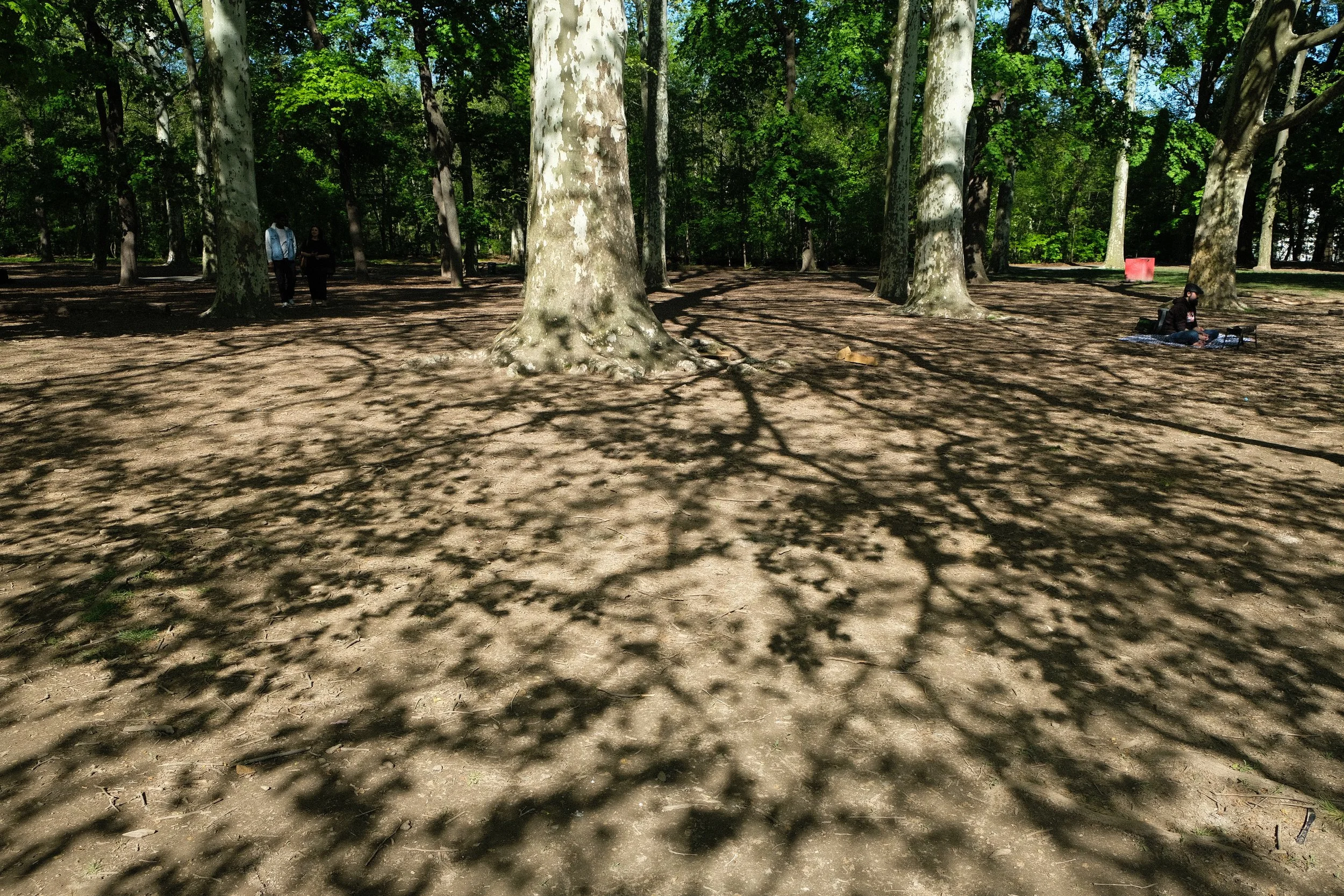 DSCF1285.jpg