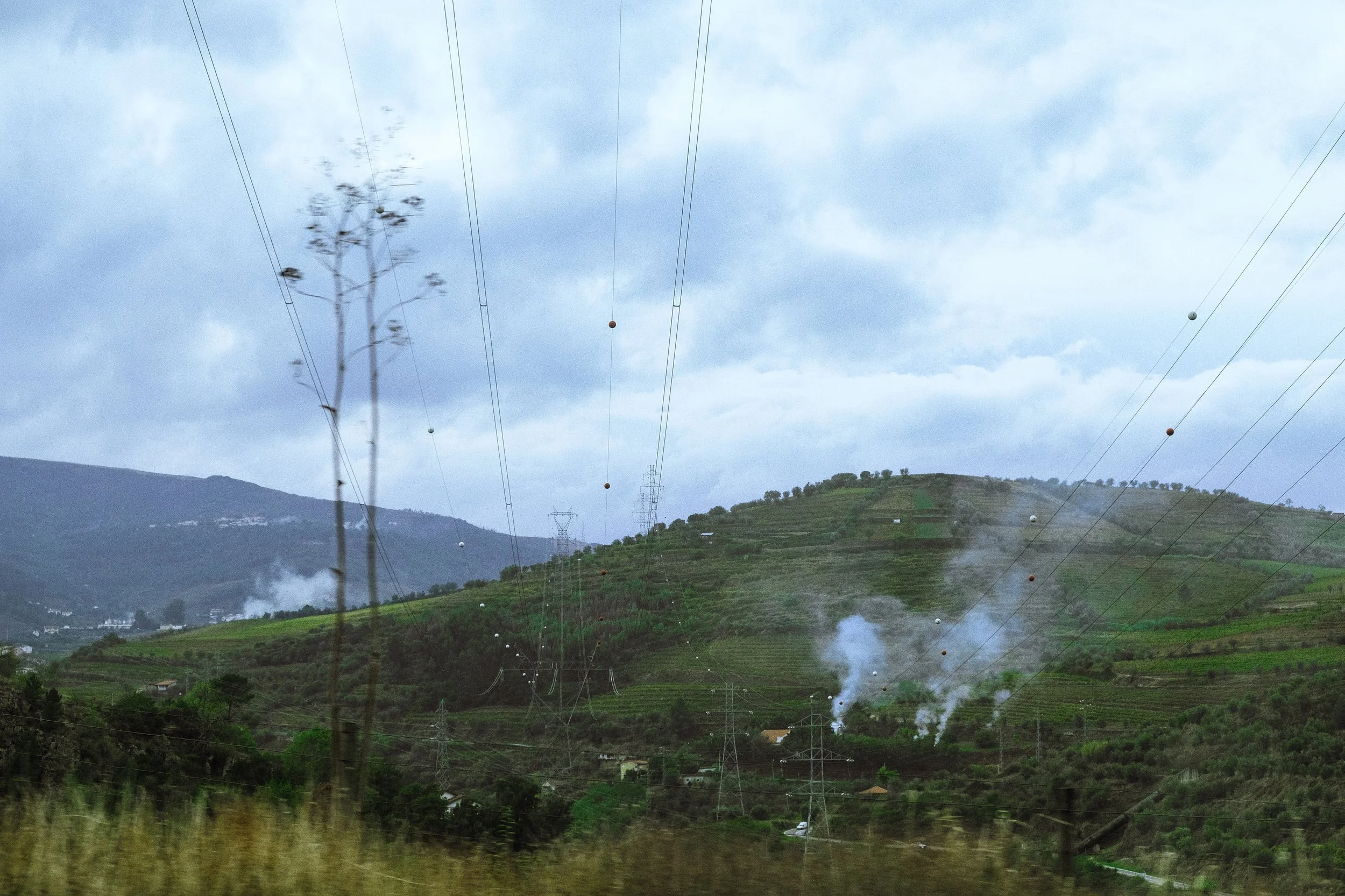 DSCF0245-2.jpg