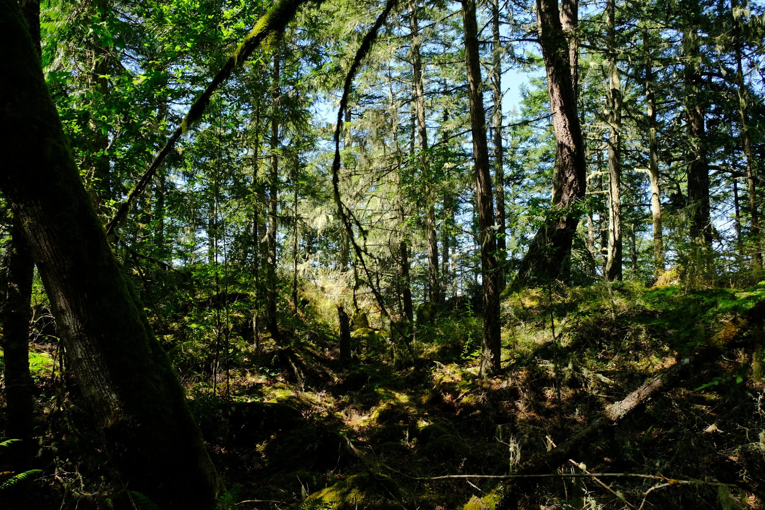 DSCF5467.jpg
