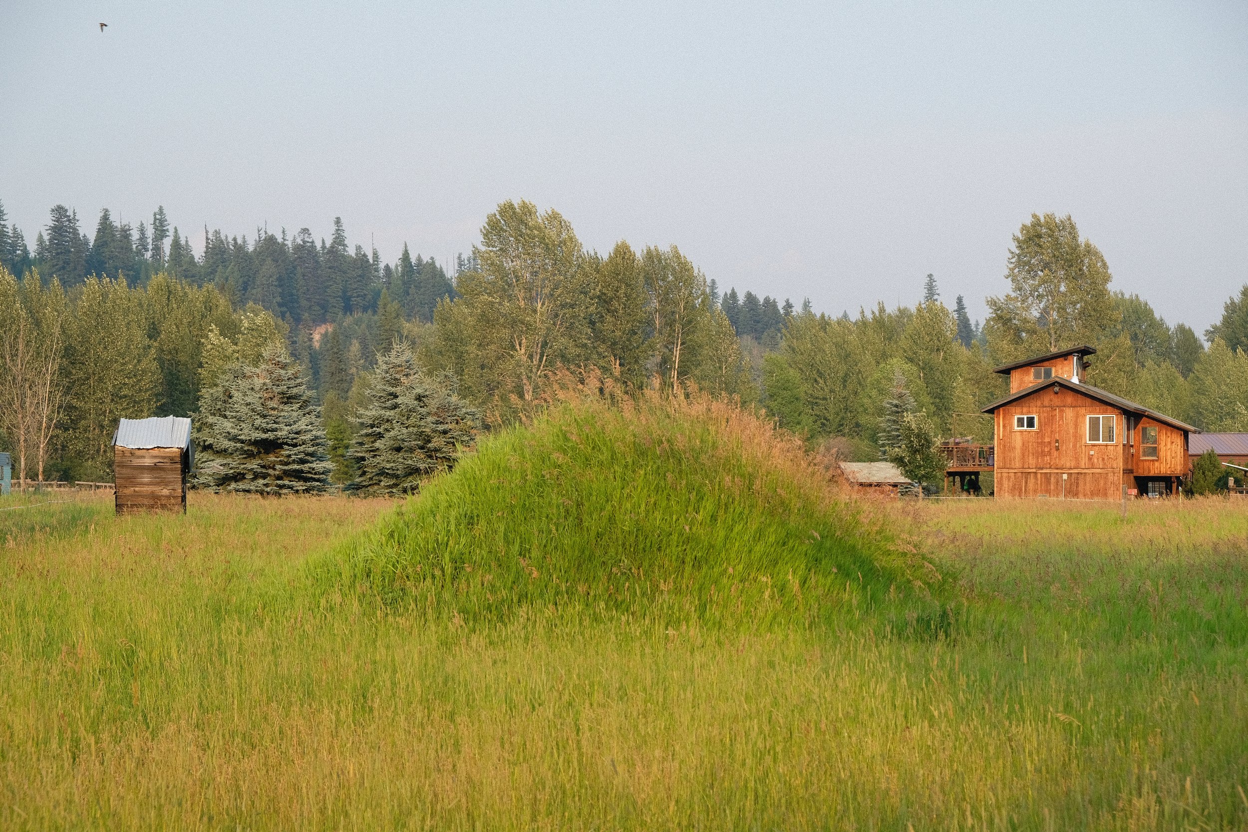 DSCF2641.jpg