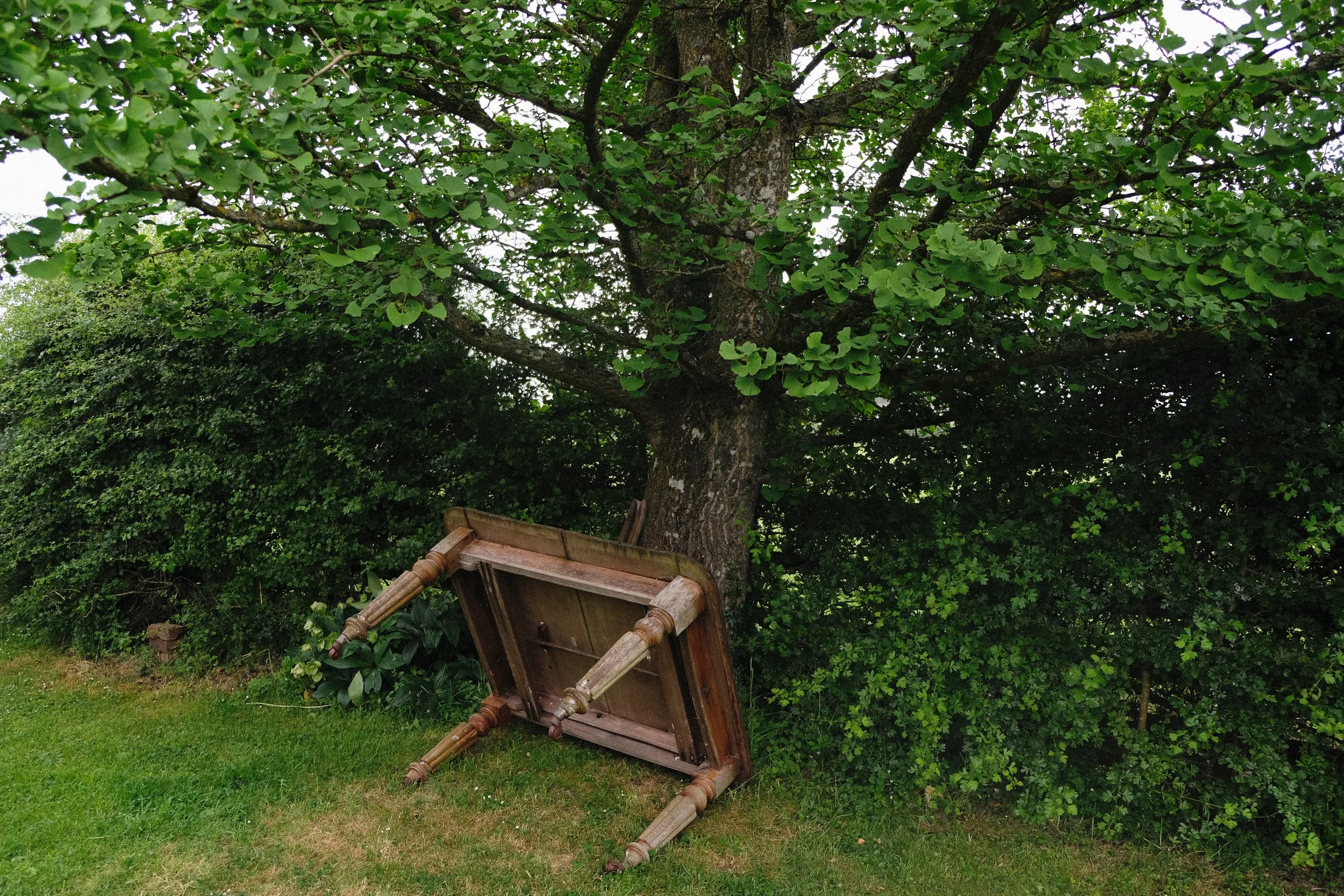 DSCF1948.jpg