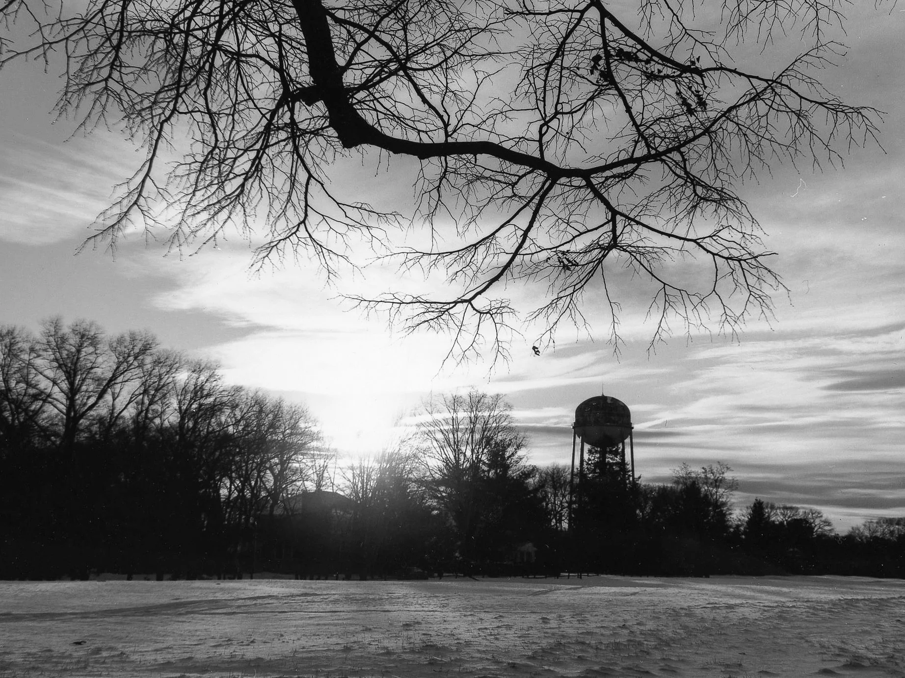 Molly Walsh603 10.jpg