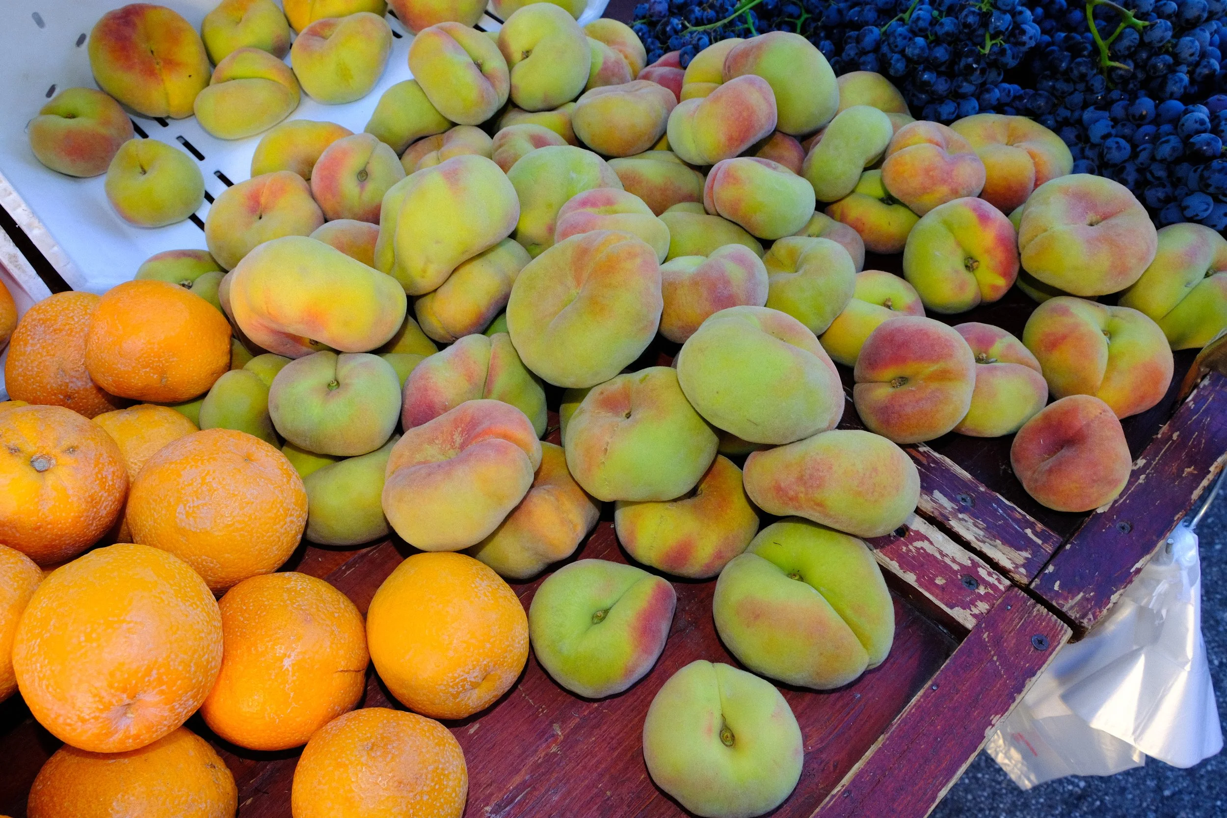 DSCF8564.jpg