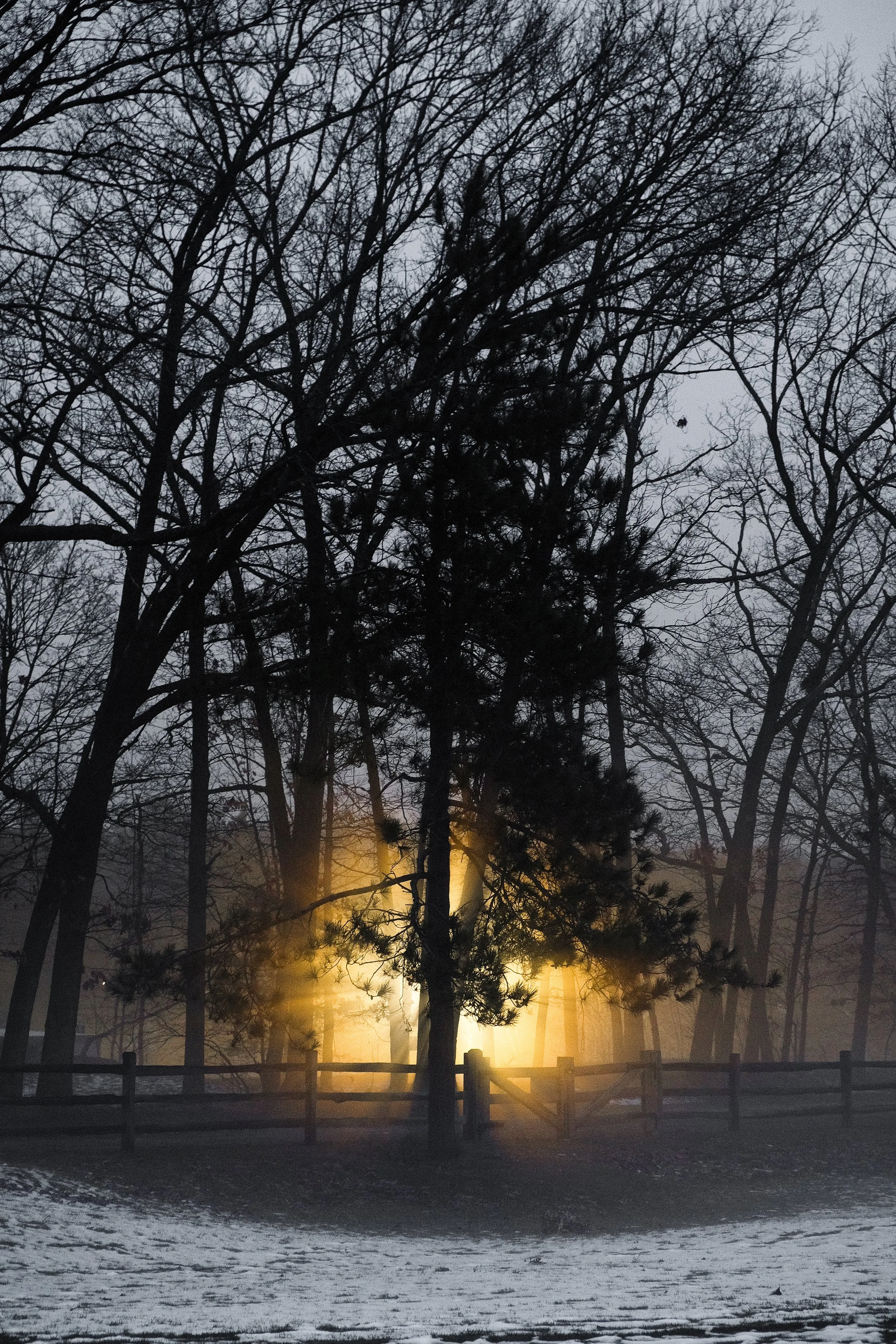 DSCF6234-2.jpg