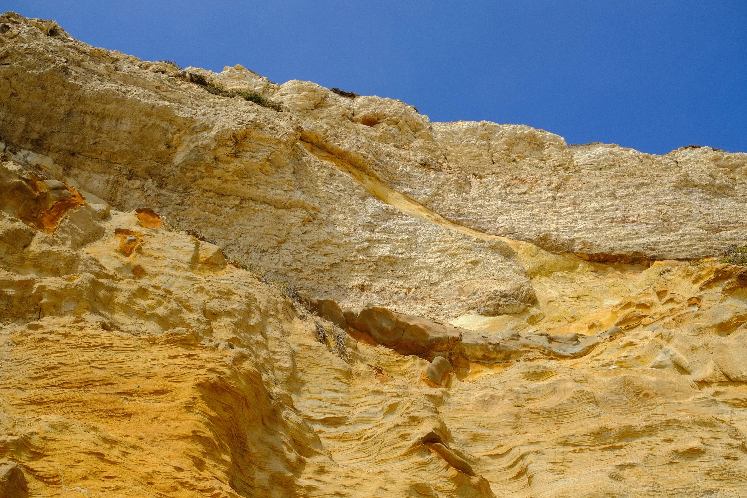 DSCF8979-3.jpg