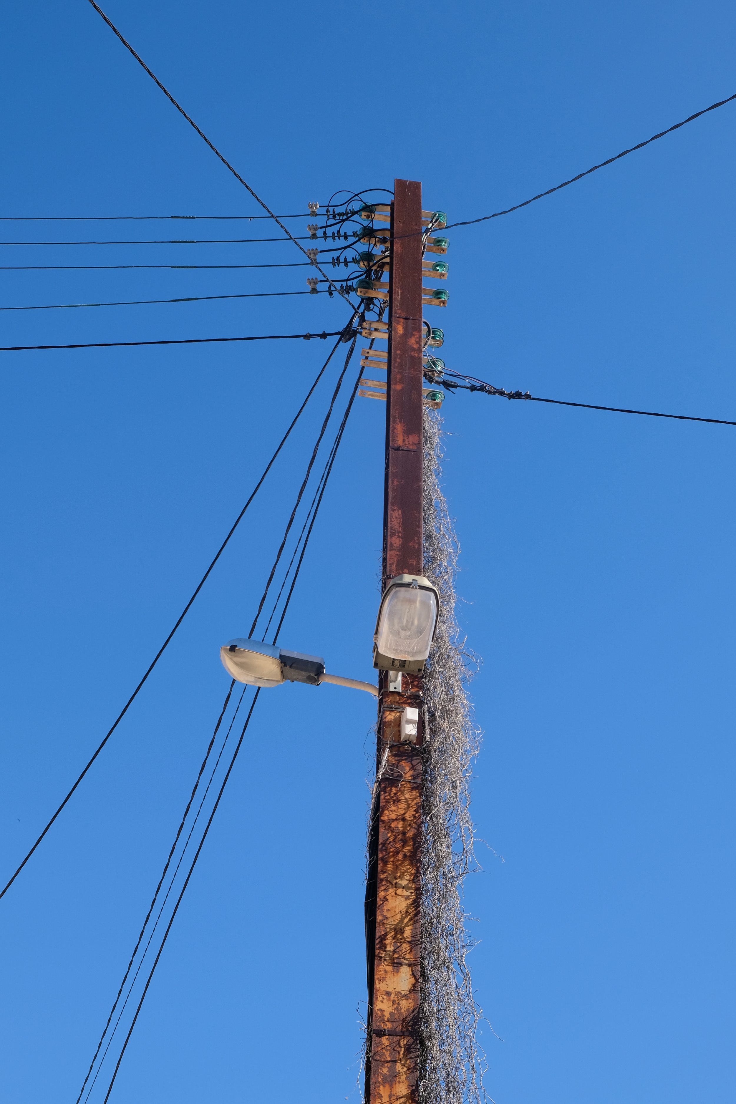 DSCF1785-3.jpg