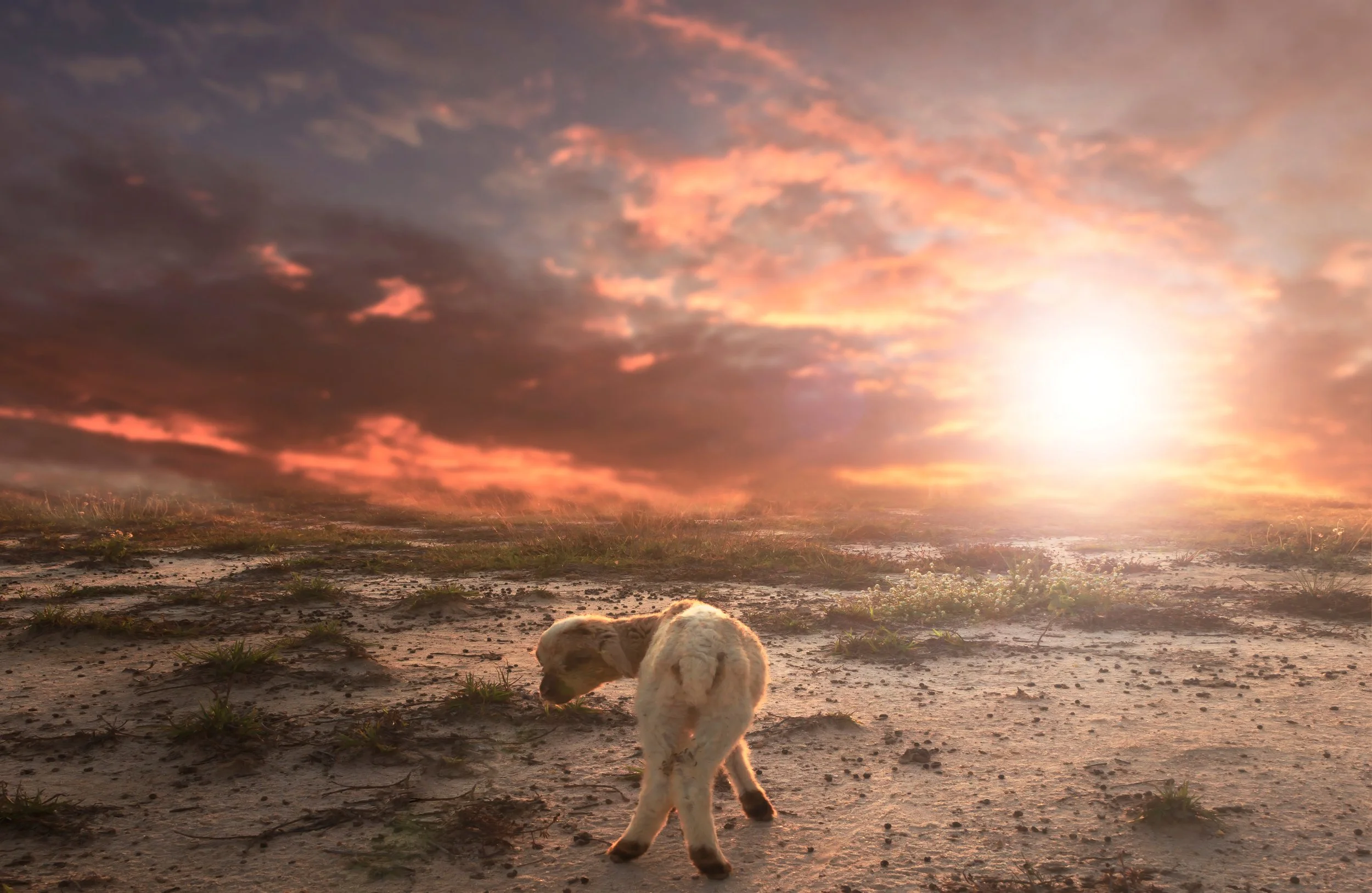 A God Who Seeks the Lost