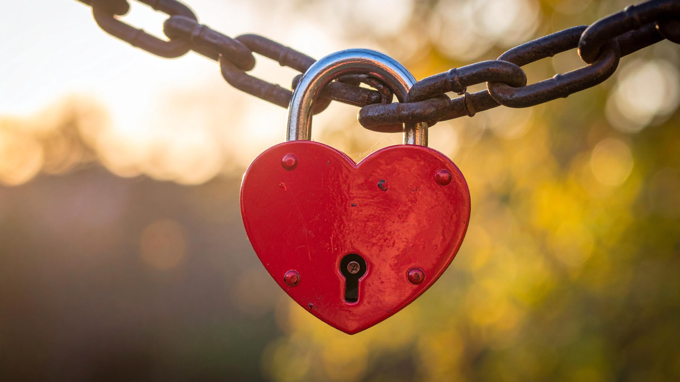Love, Safety &amp; Trauma: Understanding Attachment During Valentine’s Season