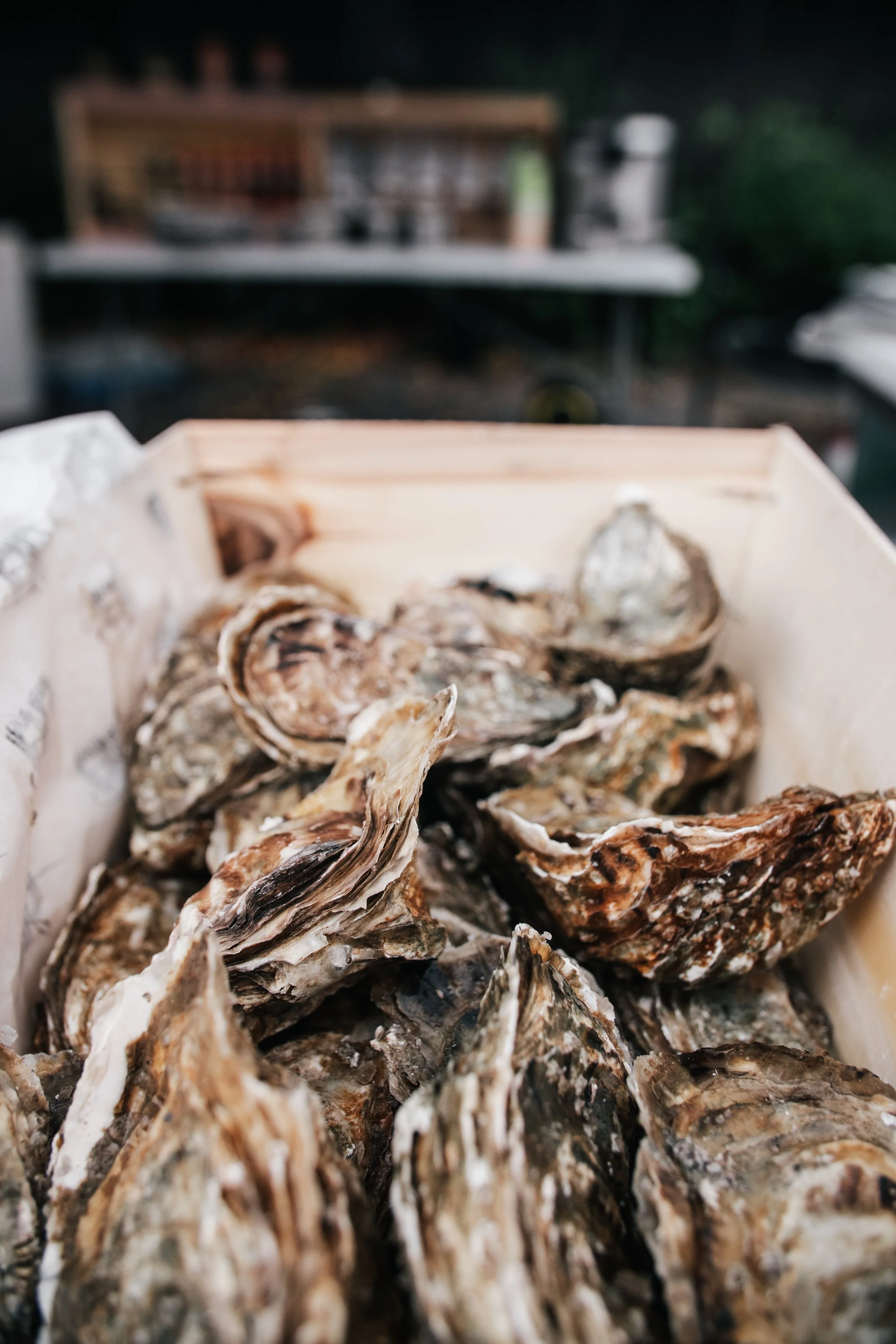 LumixSync_copy_2022-08-26 15_01_21 +0000RawFile.jpg